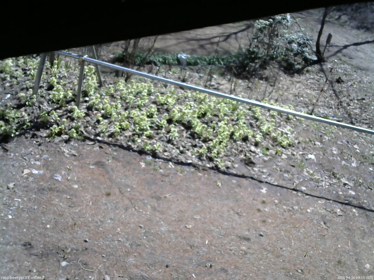 長野県菅平高原 ゆたか山荘 駐車場 2026/04/16 09:15
