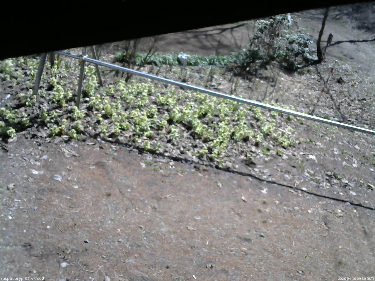 長野県菅平高原 ゆたか山荘 駐車場 2026/04/16 09:30