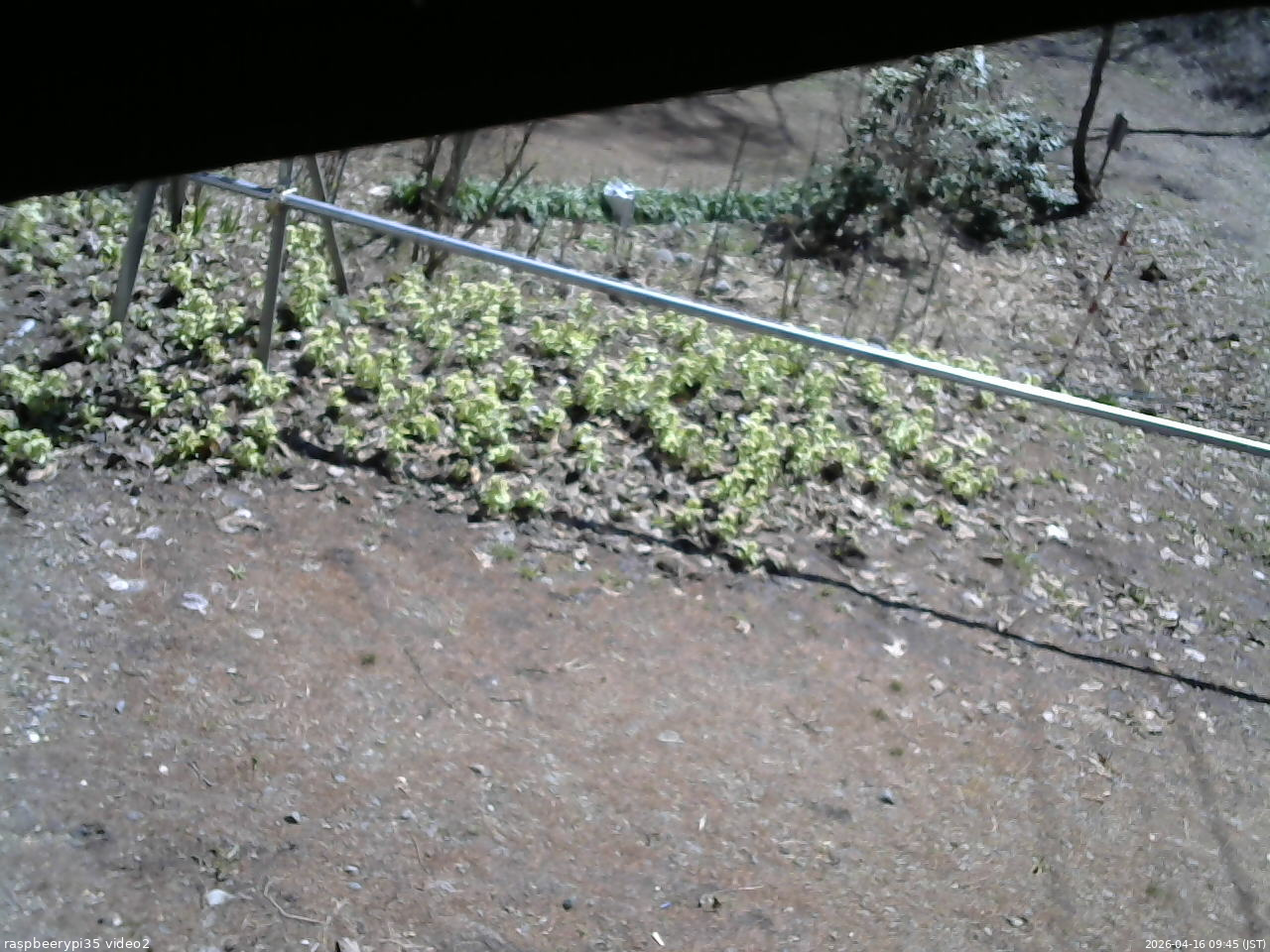 長野県菅平高原 ゆたか山荘 駐車場 2026/04/16 09:45