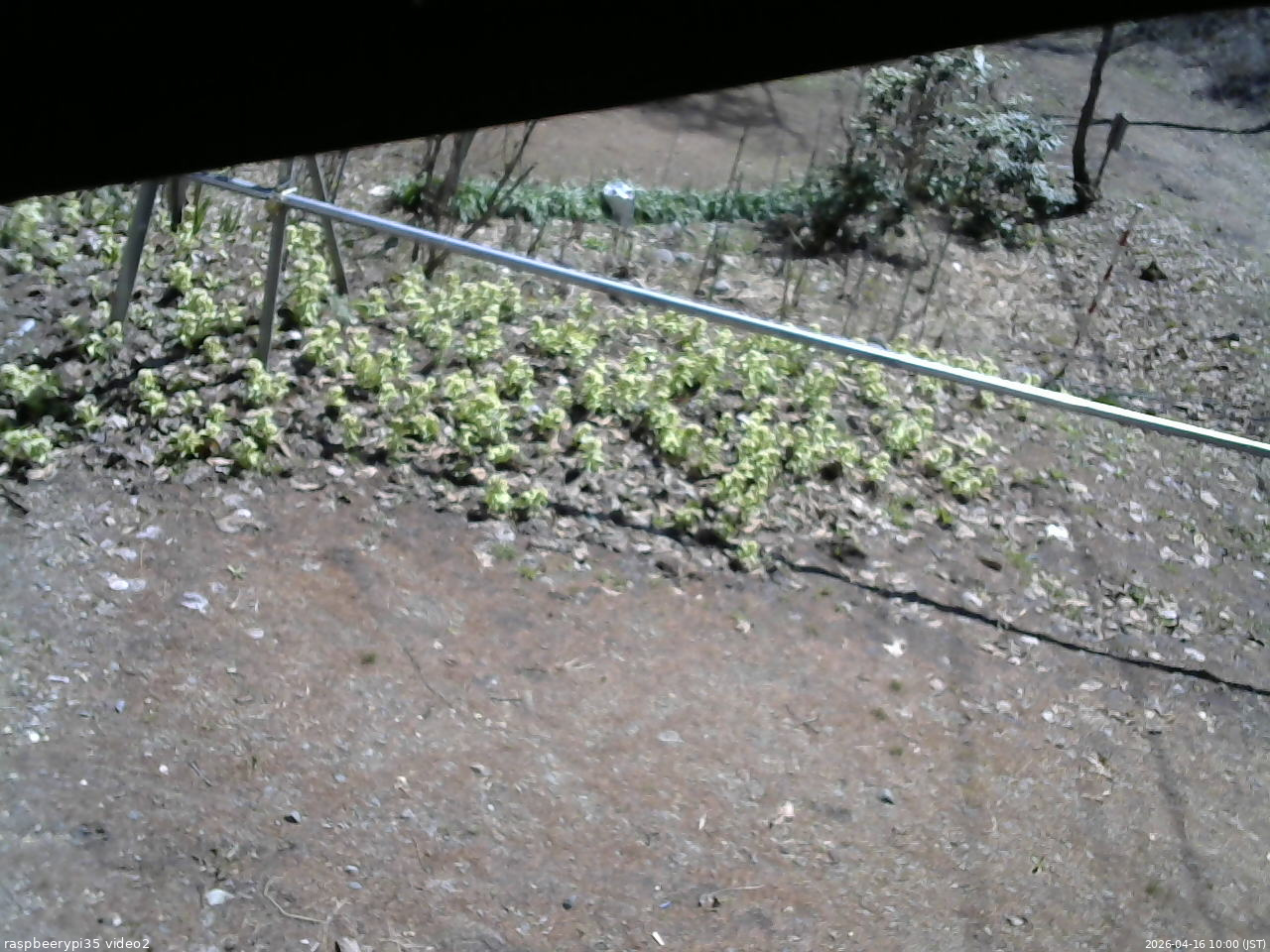長野県菅平高原 ゆたか山荘 駐車場 2026/04/16 10:00