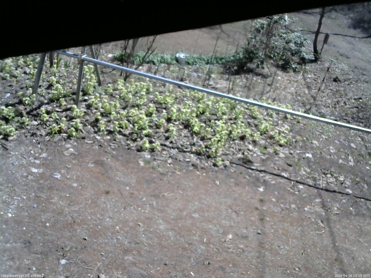 長野県菅平高原 ゆたか山荘 駐車場 2026/04/16 10:15