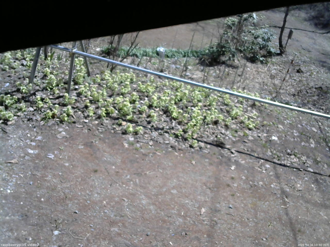 長野県菅平高原 ゆたか山荘 駐車場 2026/04/16 10:30