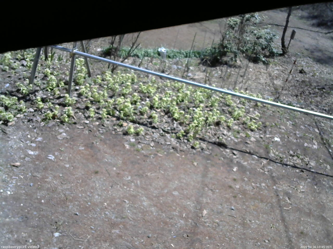 長野県菅平高原 ゆたか山荘 駐車場 2026/04/16 10:45