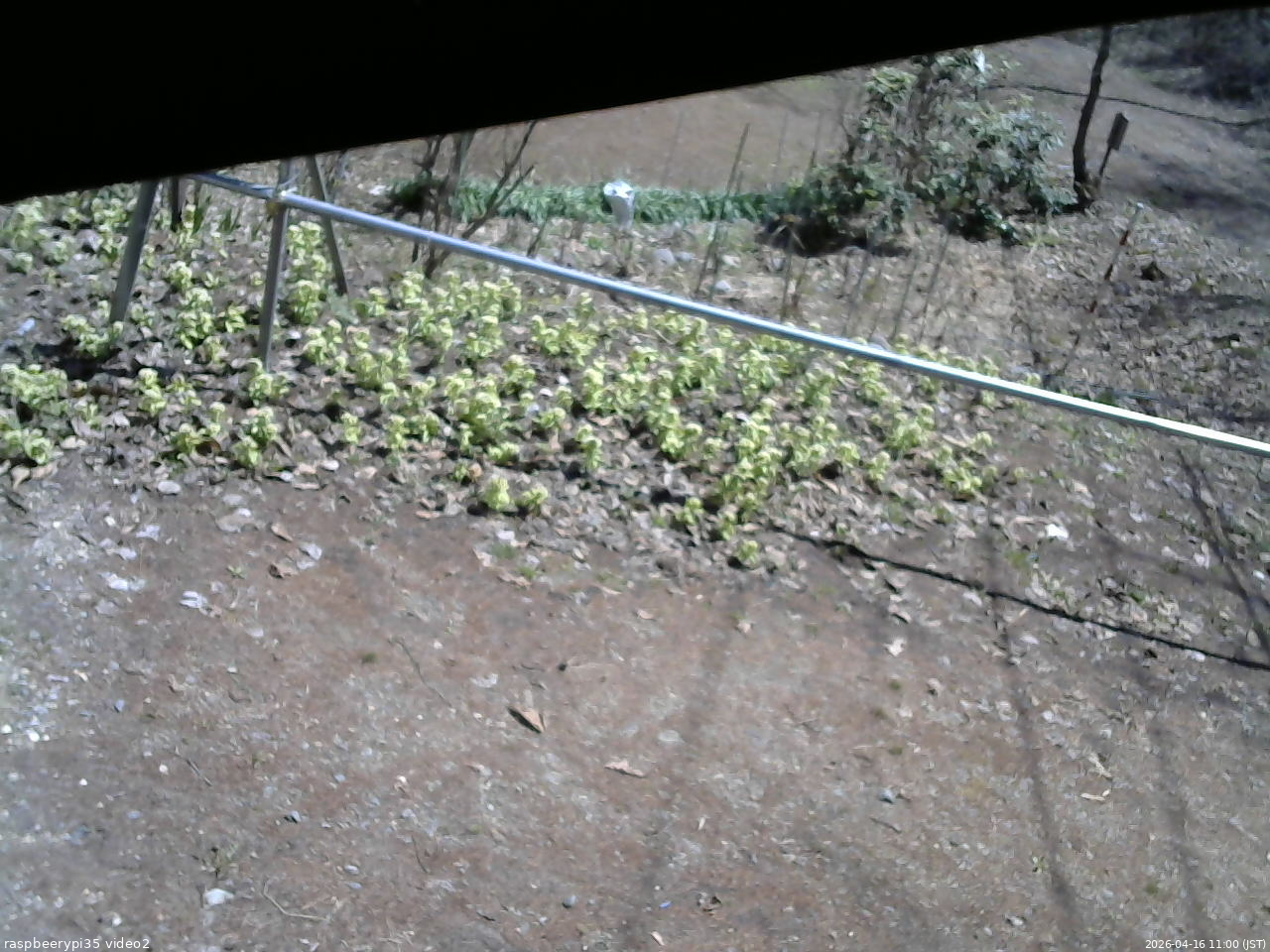 長野県菅平高原 ゆたか山荘 駐車場 2026/04/16 11:00