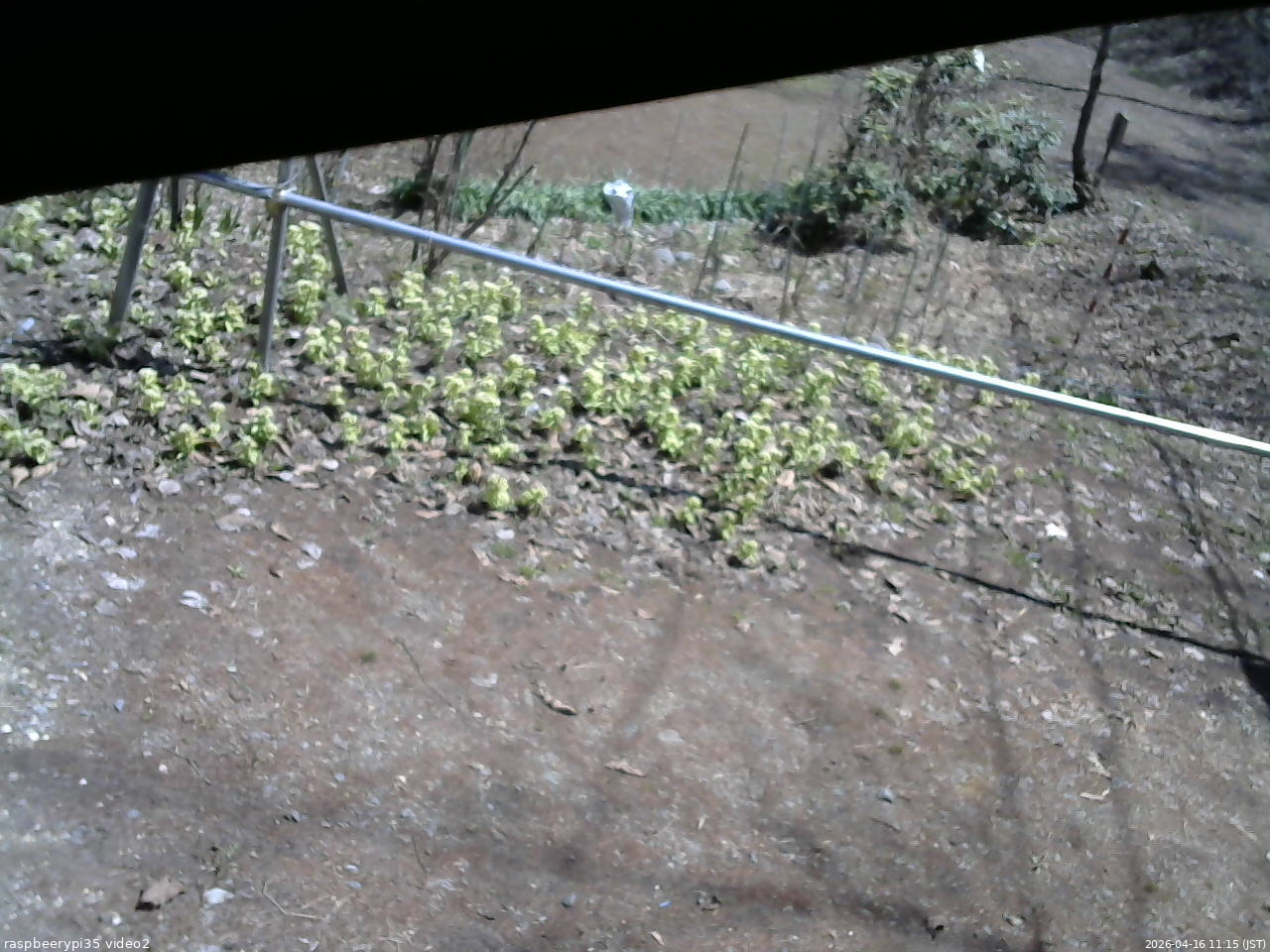 長野県菅平高原 ゆたか山荘 駐車場 2026/04/16 11:15