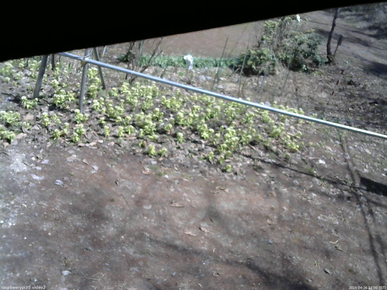 長野県菅平高原 ゆたか山荘 駐車場 2026/04/16 12:00