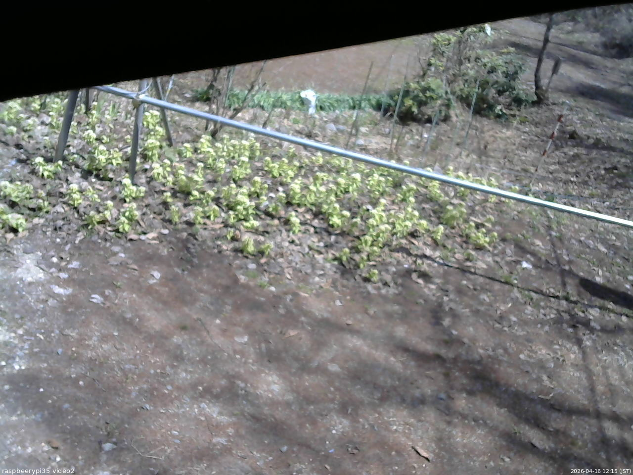 長野県菅平高原 ゆたか山荘 駐車場 2026/04/16 12:15