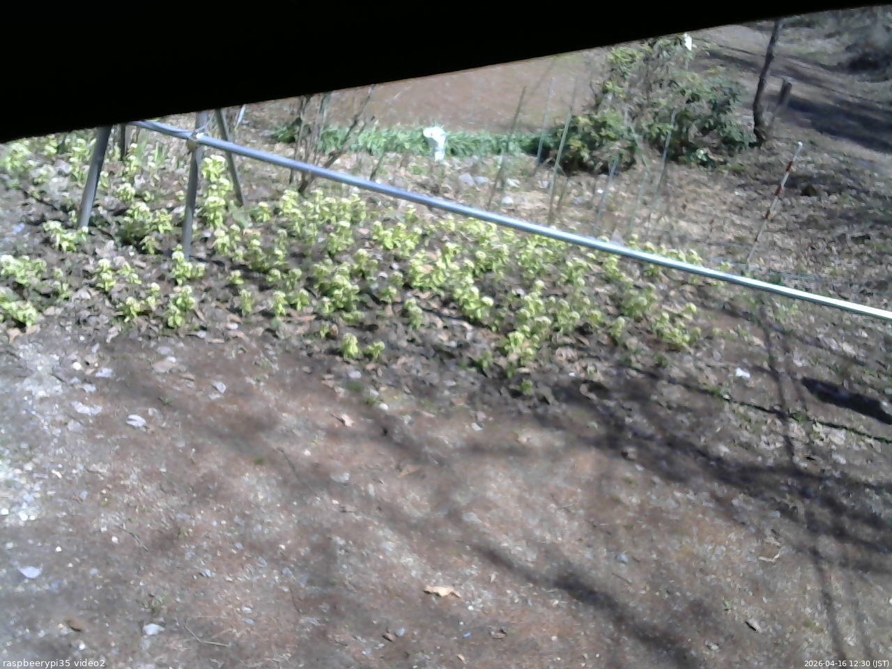 長野県菅平高原 ゆたか山荘 駐車場 2026/04/16 12:30