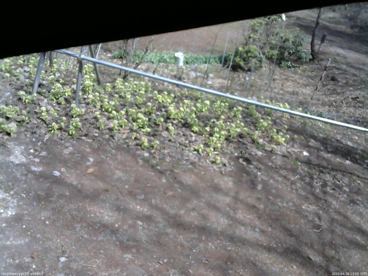 長野県菅平高原 ゆたか山荘 駐車場 2026/04/16 13:00