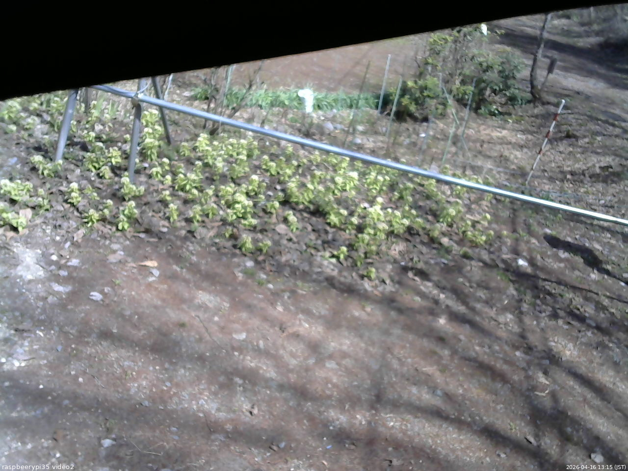 長野県菅平高原 ゆたか山荘 駐車場 2026/04/16 13:15