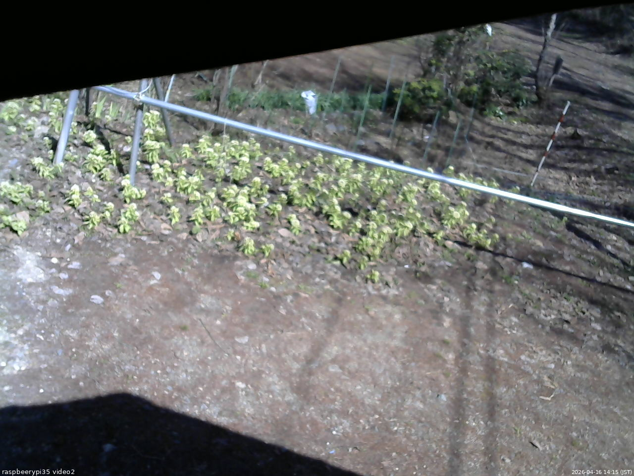 長野県菅平高原 ゆたか山荘 駐車場 2026/04/16 14:15