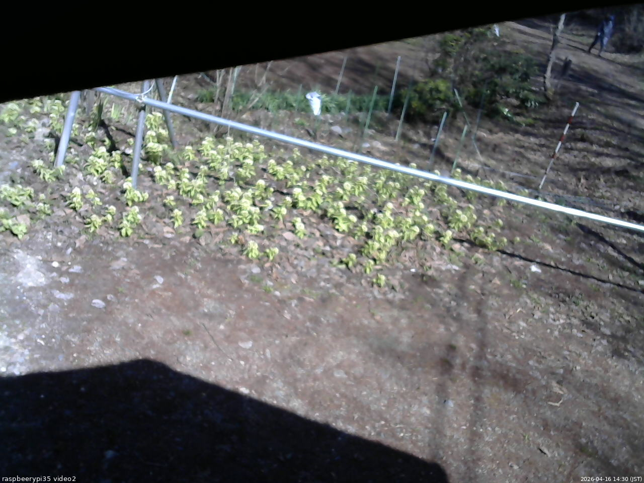 長野県菅平高原 ゆたか山荘 駐車場 2026/04/16 14:30