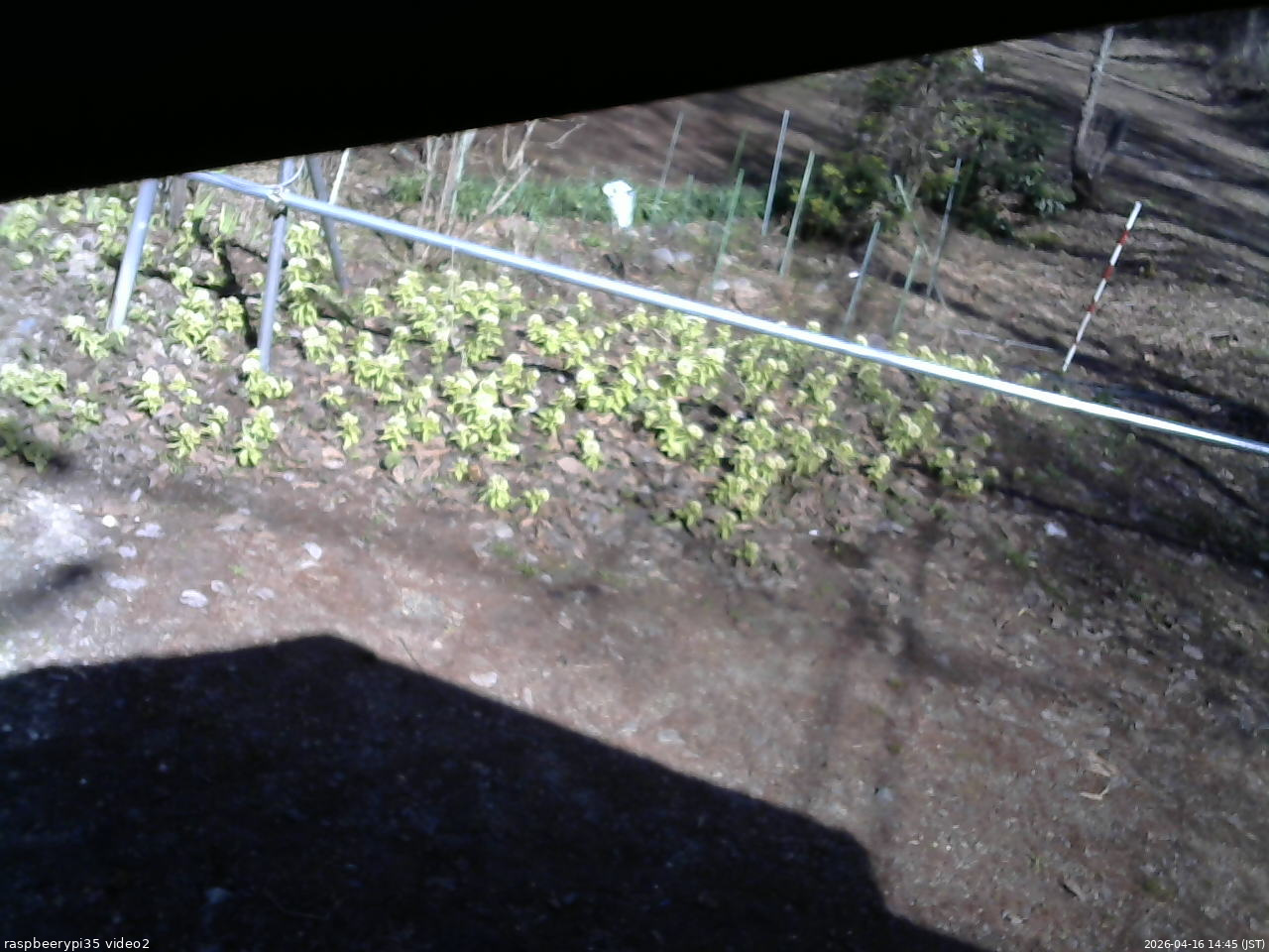 長野県菅平高原 ゆたか山荘 駐車場 2026/04/16 14:45