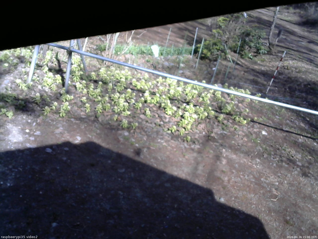 長野県菅平高原 ゆたか山荘 駐車場 2026/04/16 15:00