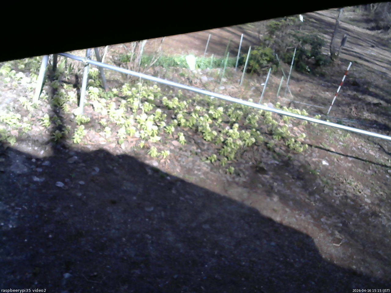 長野県菅平高原 ゆたか山荘 駐車場 2026/04/16 15:15