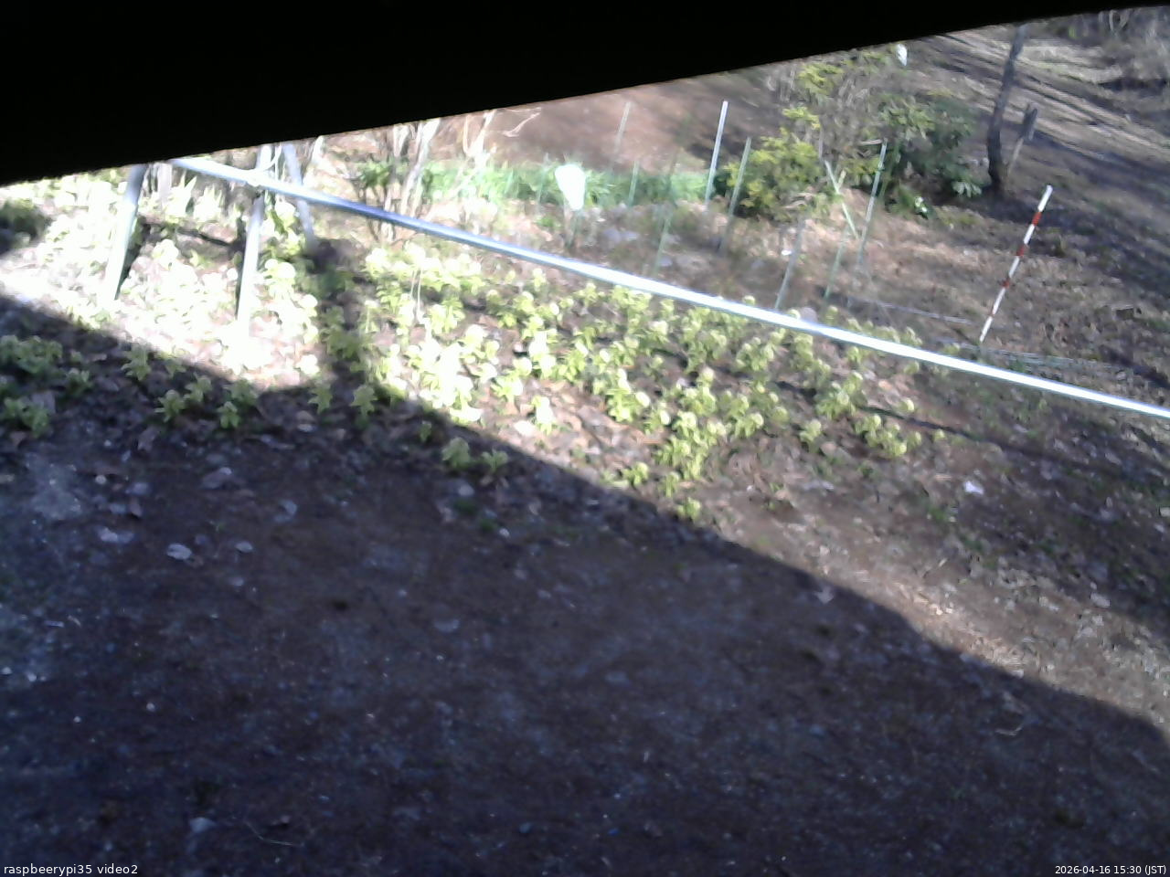 長野県菅平高原 ゆたか山荘 駐車場 2026/04/16 15:30