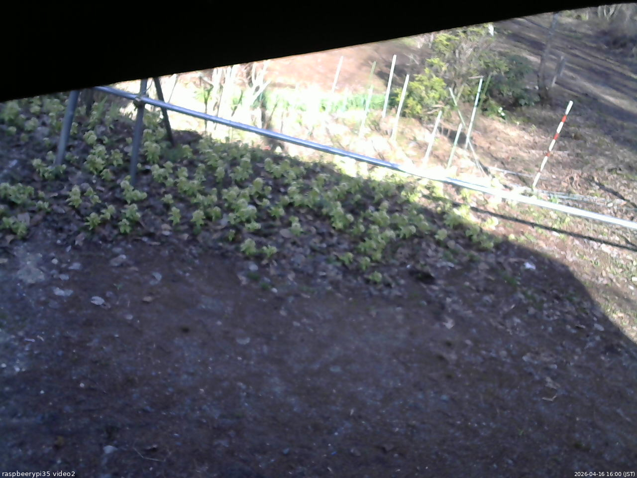 長野県菅平高原 ゆたか山荘 駐車場 2026/04/16 16:00