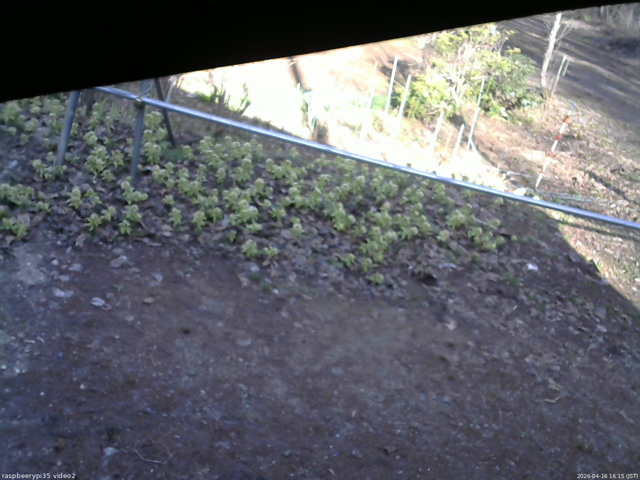 長野県菅平高原 ゆたか山荘 駐車場 2026/04/16 16:15