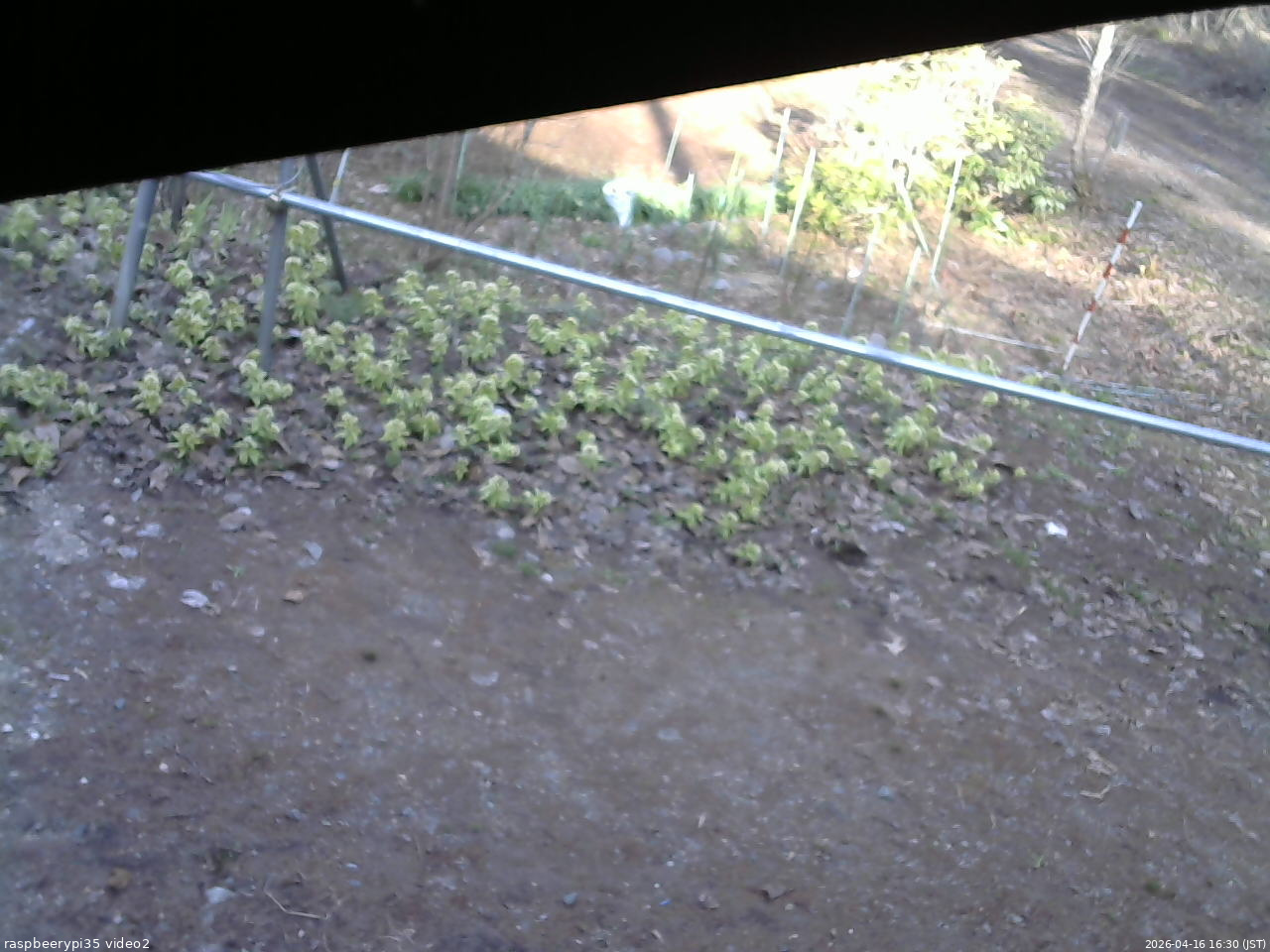 長野県菅平高原 ゆたか山荘 駐車場 2026/04/16 16:30