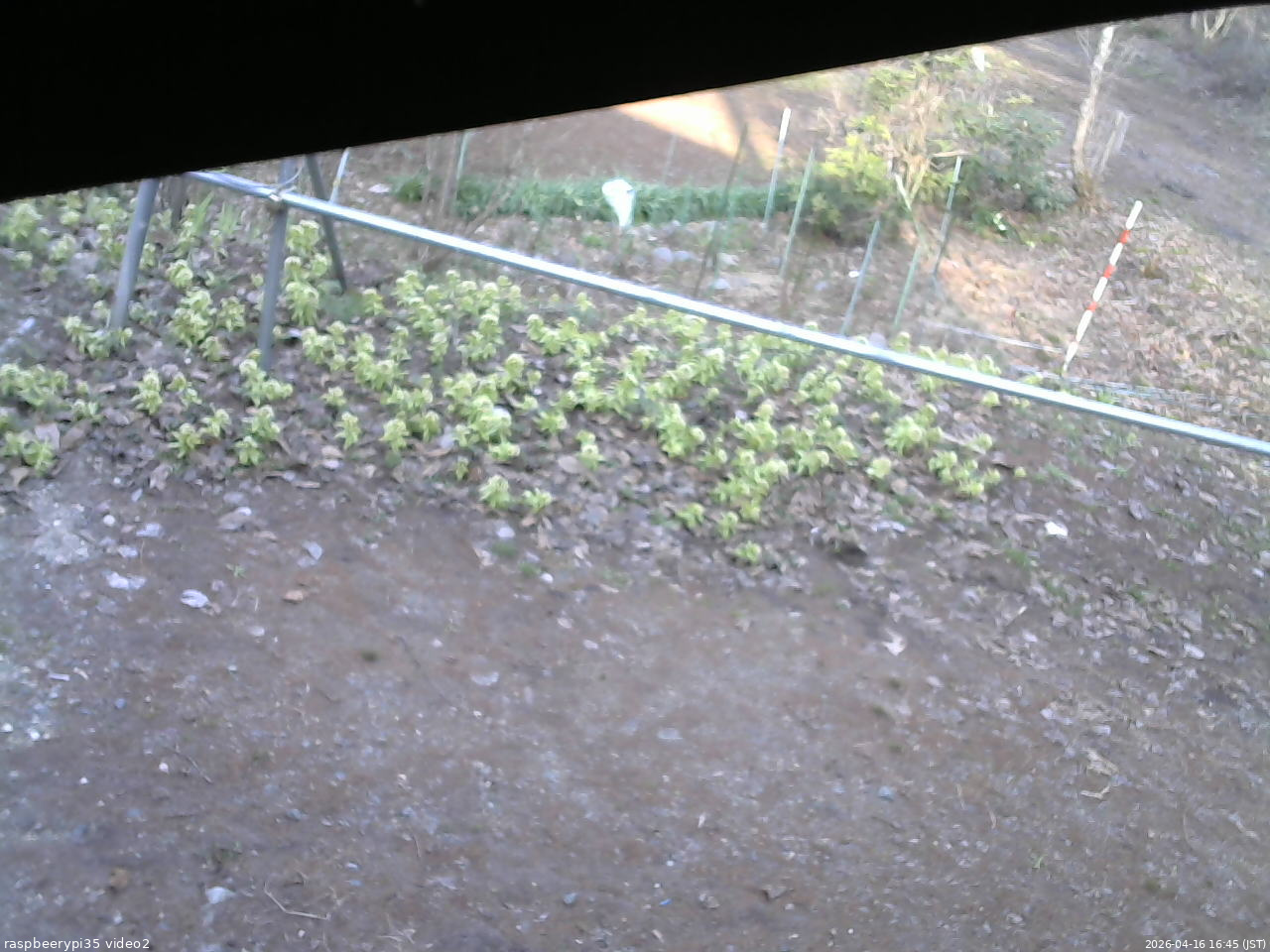 長野県菅平高原 ゆたか山荘 駐車場 2026/04/16 16:45