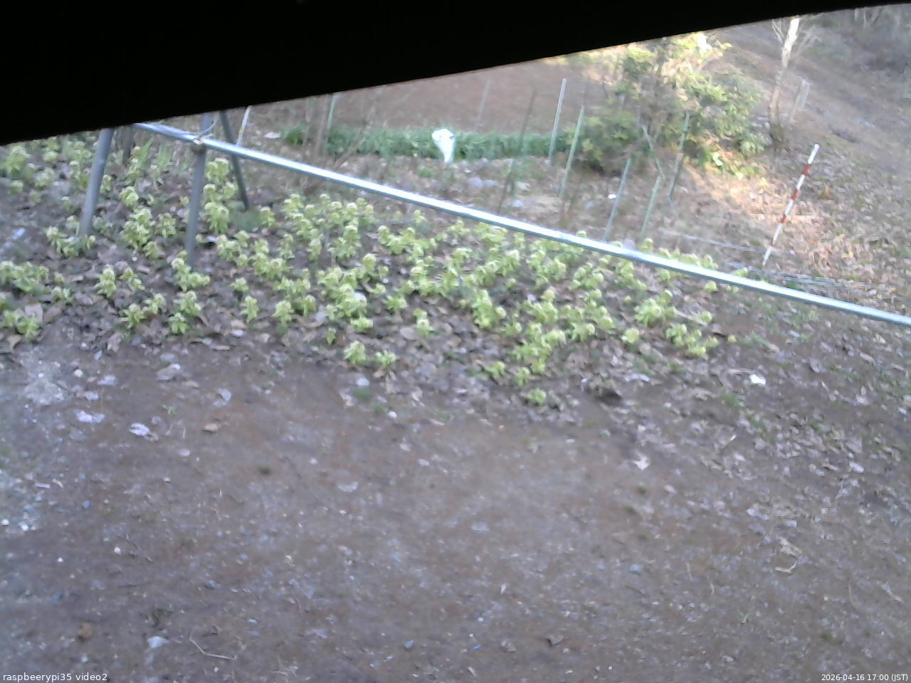 長野県菅平高原 ゆたか山荘 駐車場 2026/04/16 17:00