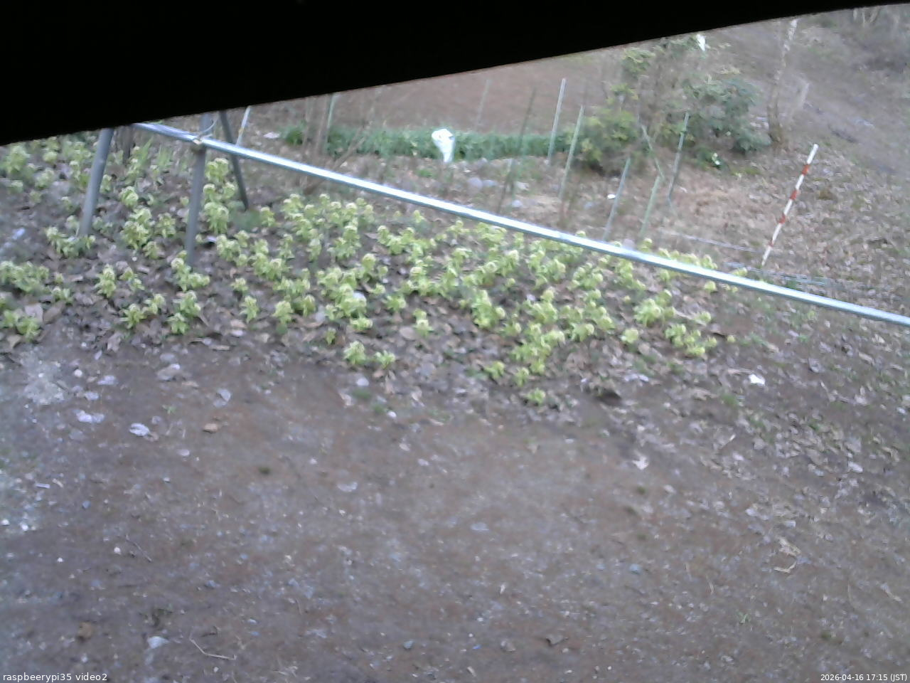 長野県菅平高原 ゆたか山荘 駐車場 2026/04/16 17:15
