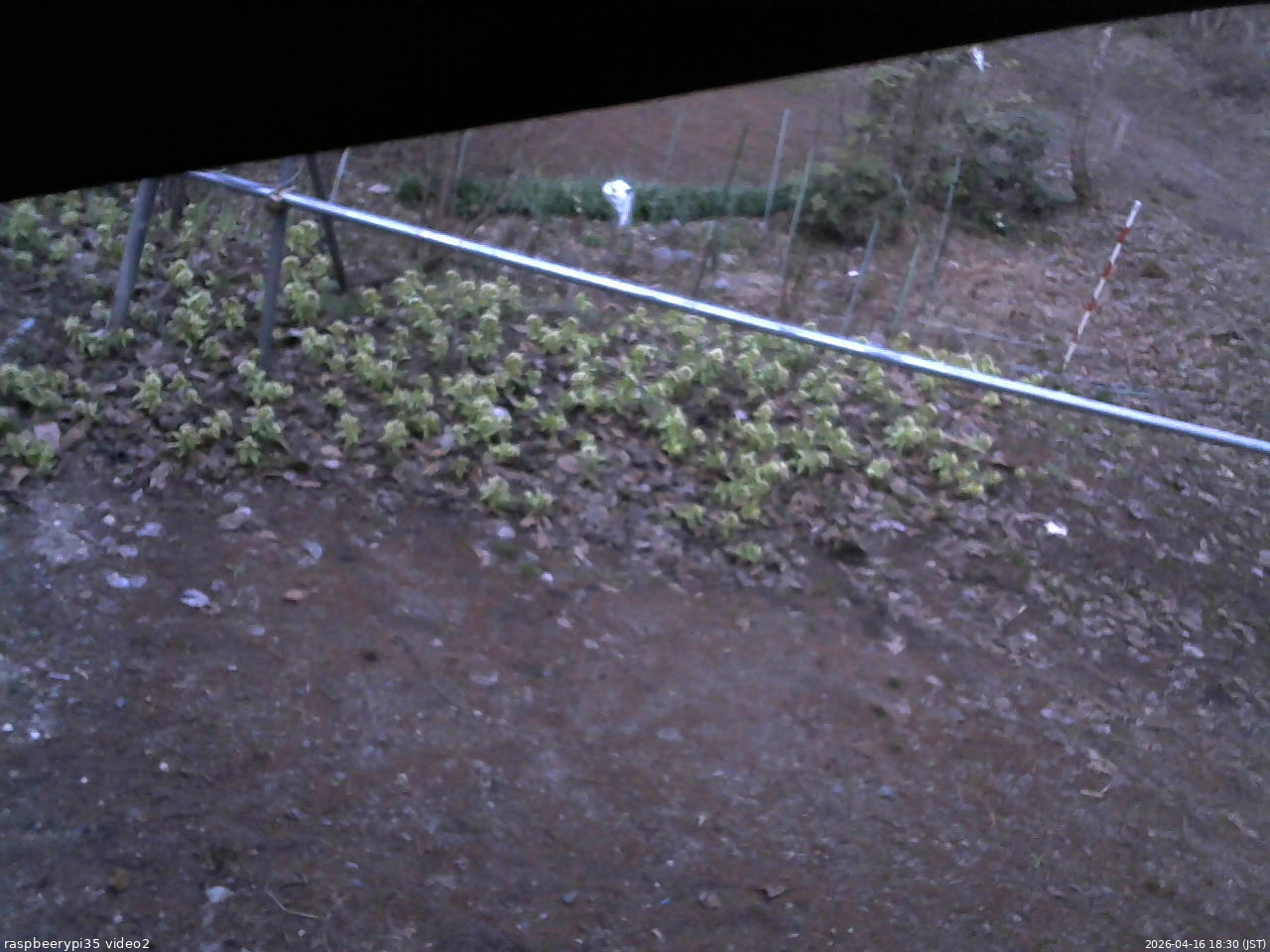 長野県菅平高原 ゆたか山荘 駐車場 2026/04/16 18:30