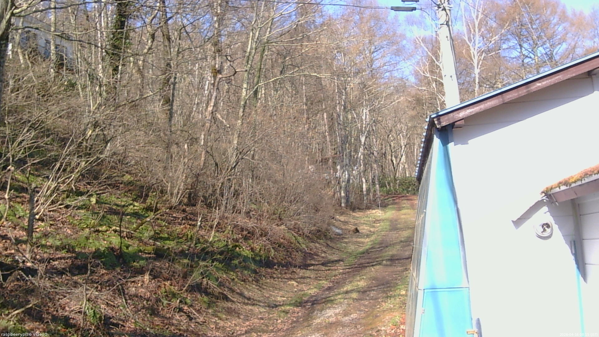 長野県菅平高原 ゆたか山荘 ゆたか山荘 2026/04/16 08:15