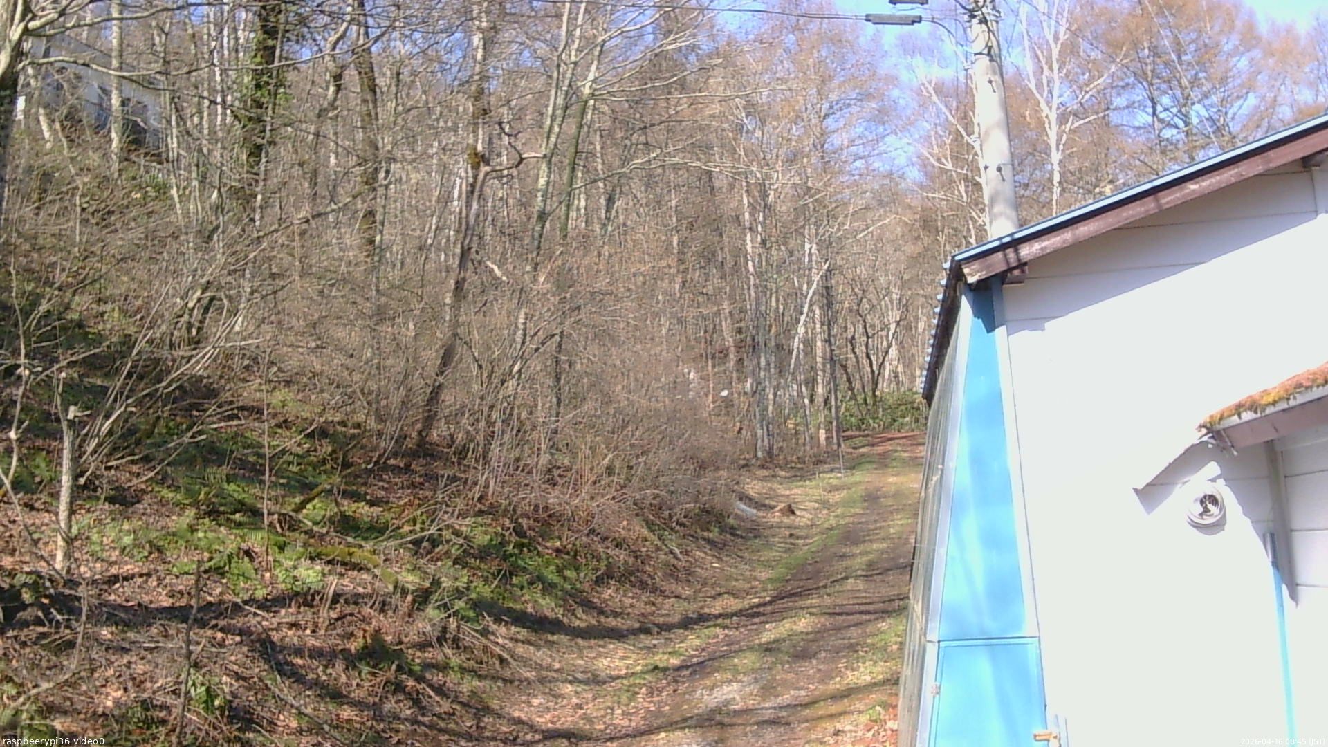 長野県菅平高原 ゆたか山荘 ゆたか山荘 2026/04/16 08:45
