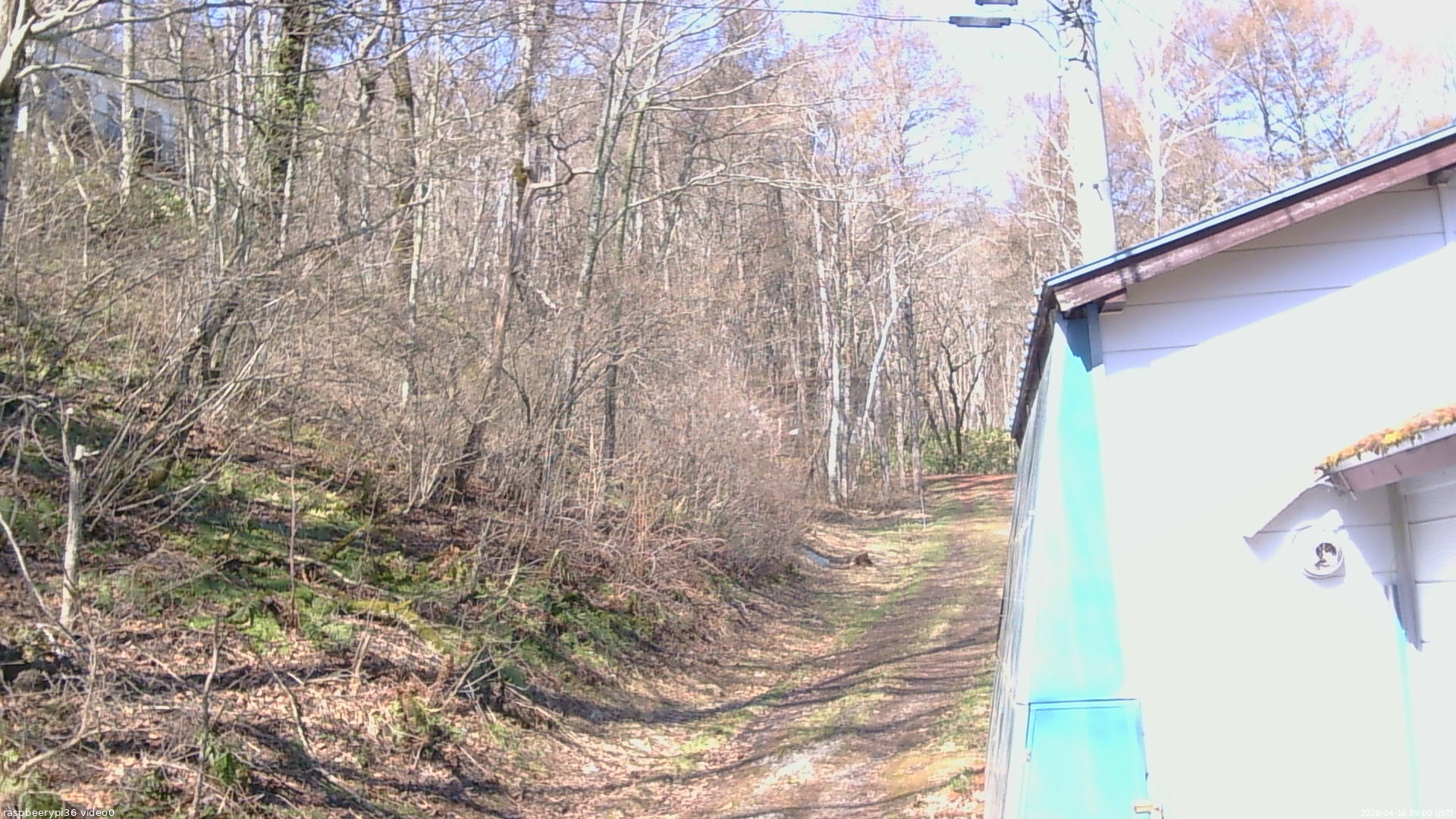 長野県菅平高原 ゆたか山荘 ゆたか山荘 2026/04/16 09:00