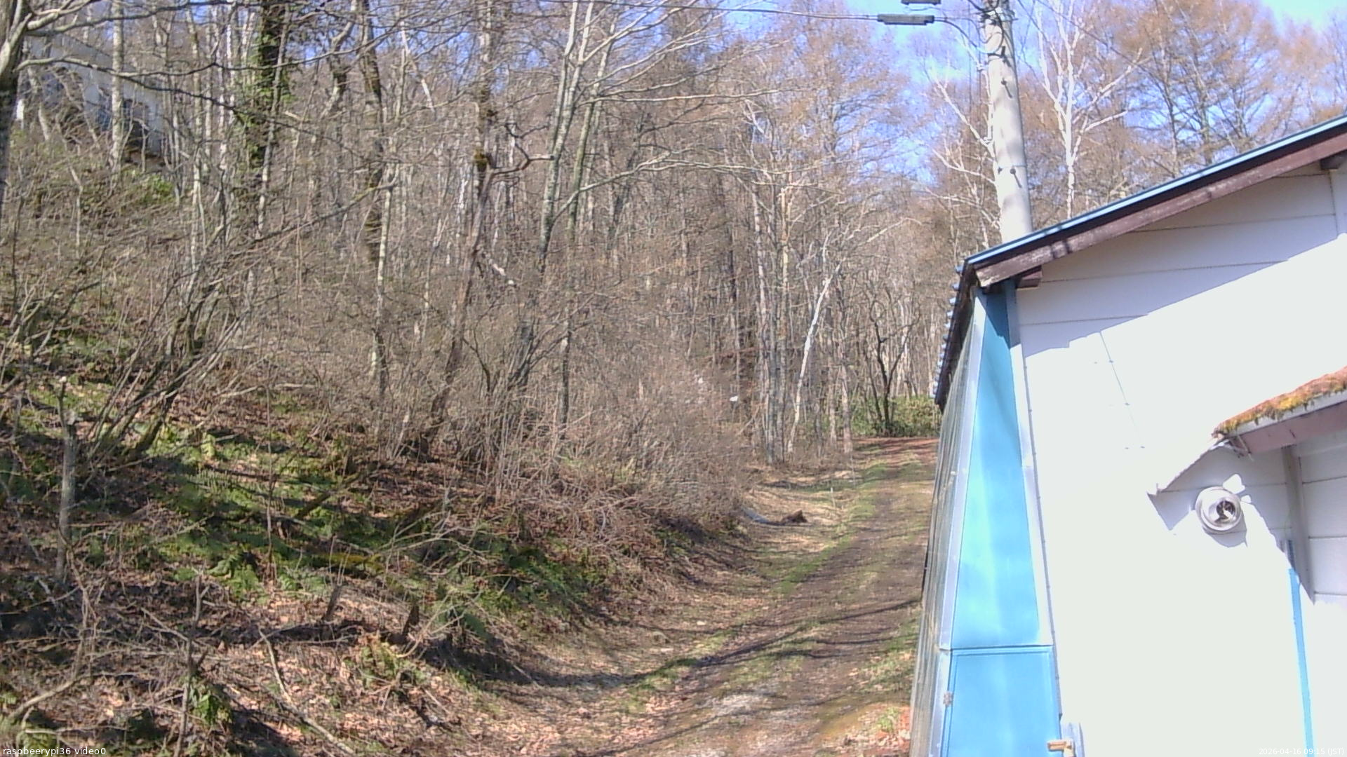 長野県菅平高原 ゆたか山荘 ゆたか山荘 2026/04/16 09:15