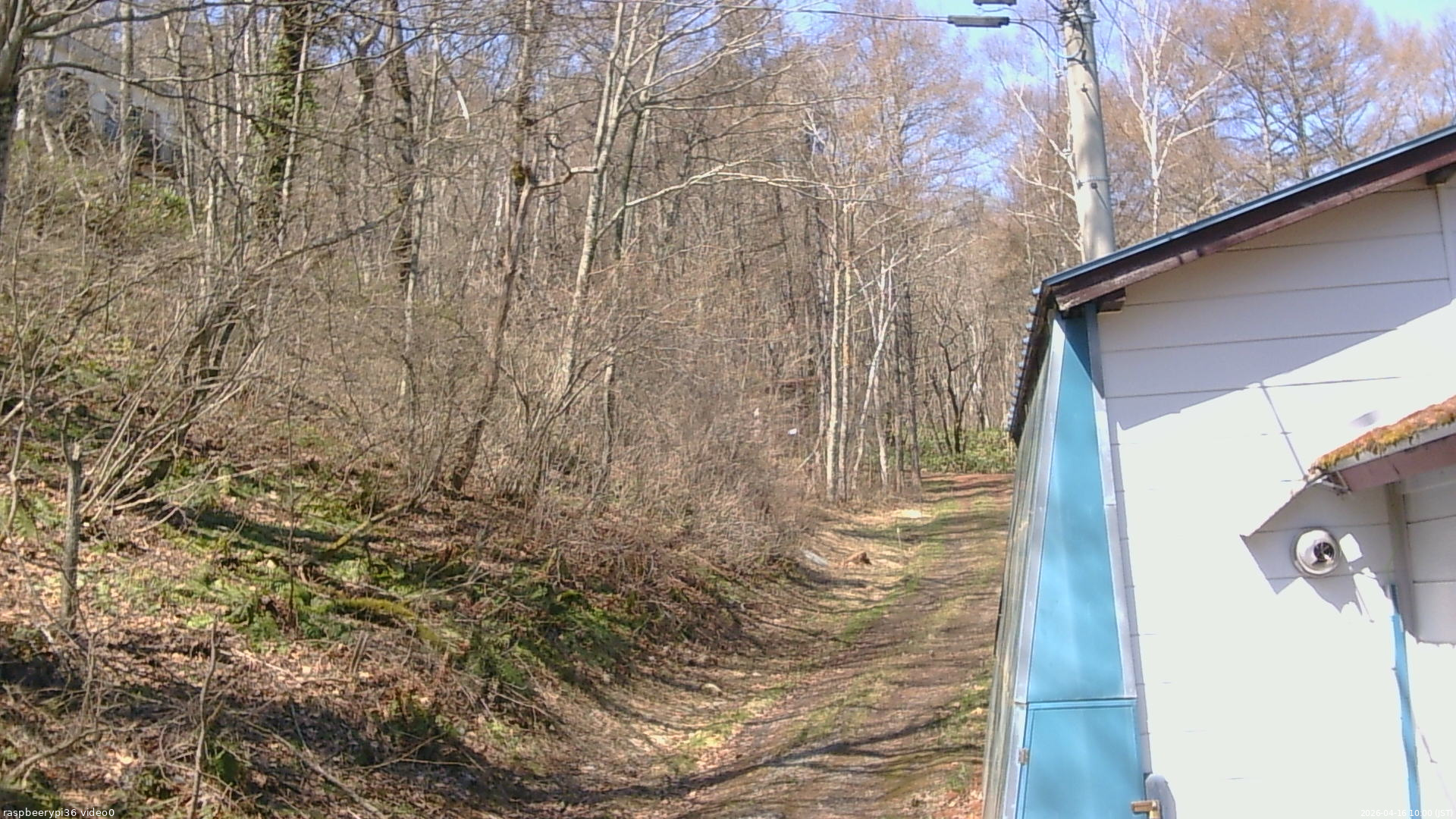 長野県菅平高原 ゆたか山荘 ゆたか山荘 2026/04/16 10:00