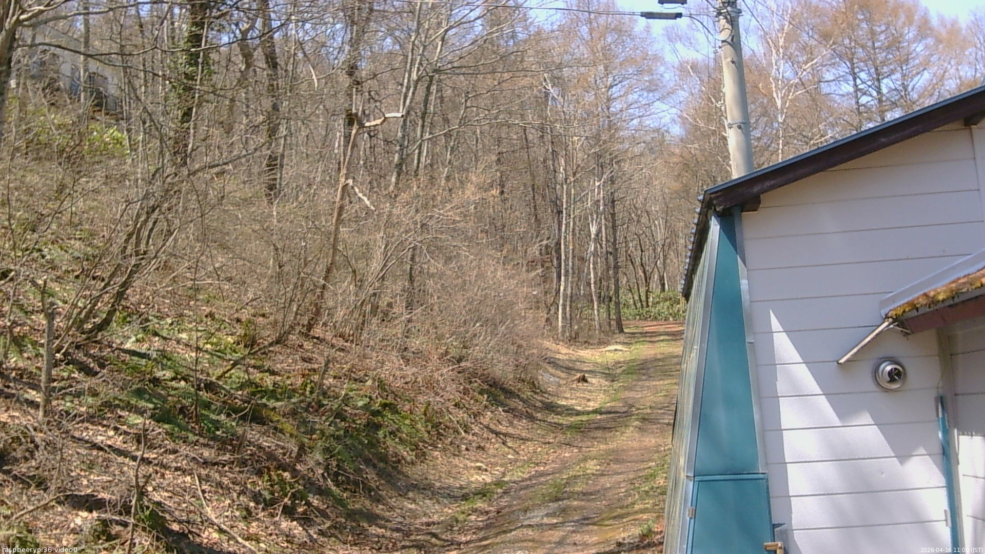 長野県菅平高原 ゆたか山荘 ゆたか山荘 2026/04/16 11:00