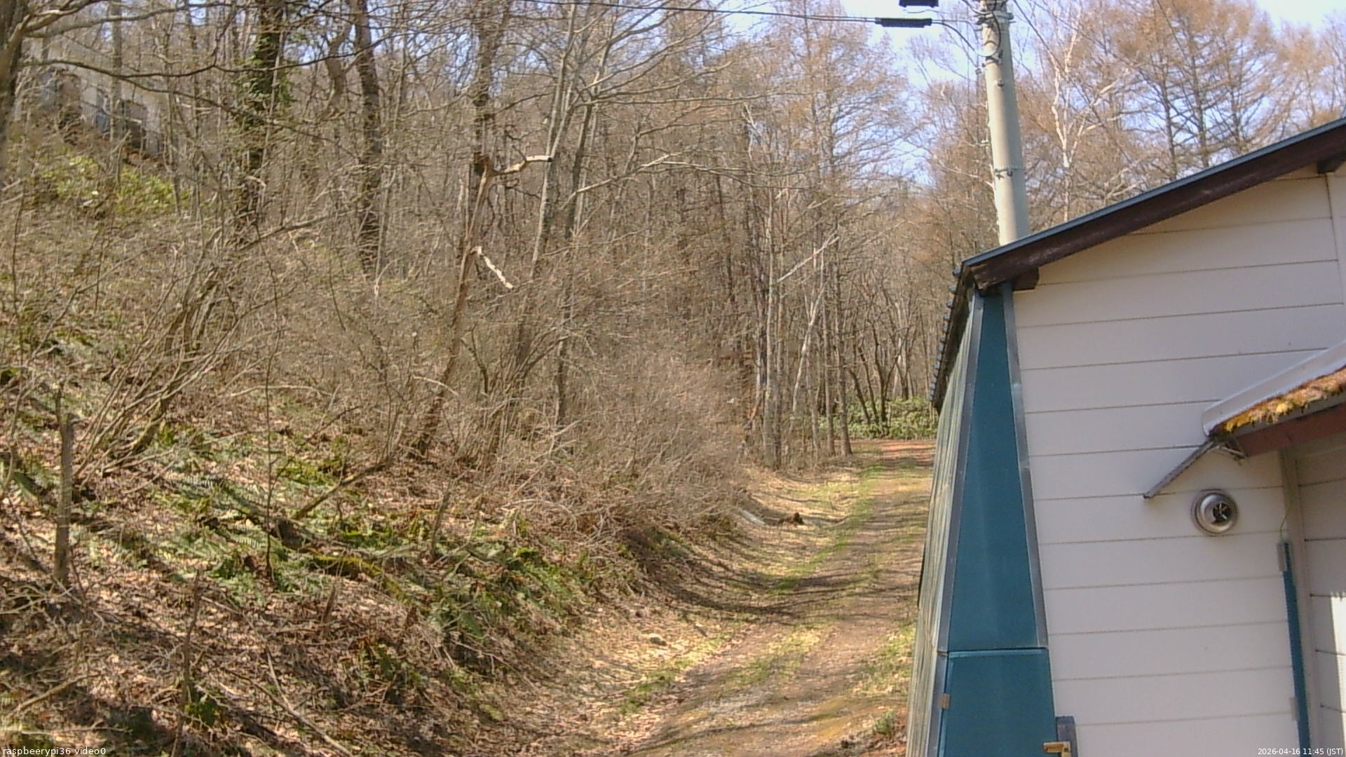 長野県菅平高原 ゆたか山荘 ゆたか山荘 2026/04/16 11:45