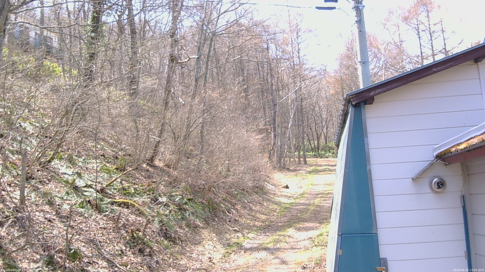 長野県菅平高原 ゆたか山荘 ゆたか山荘 2026/04/16 13:00