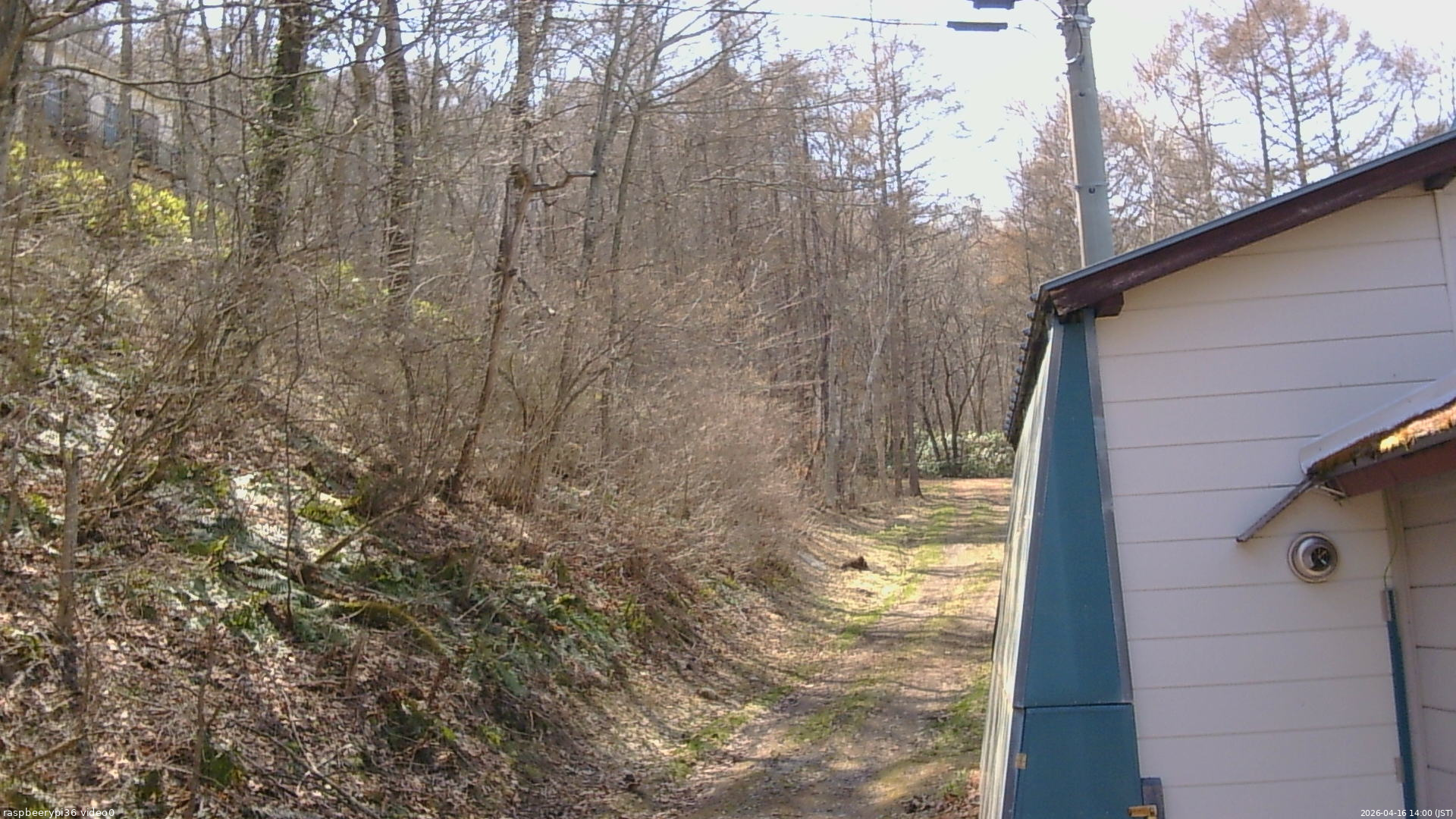 長野県菅平高原 ゆたか山荘 ゆたか山荘 2026/04/16 14:00