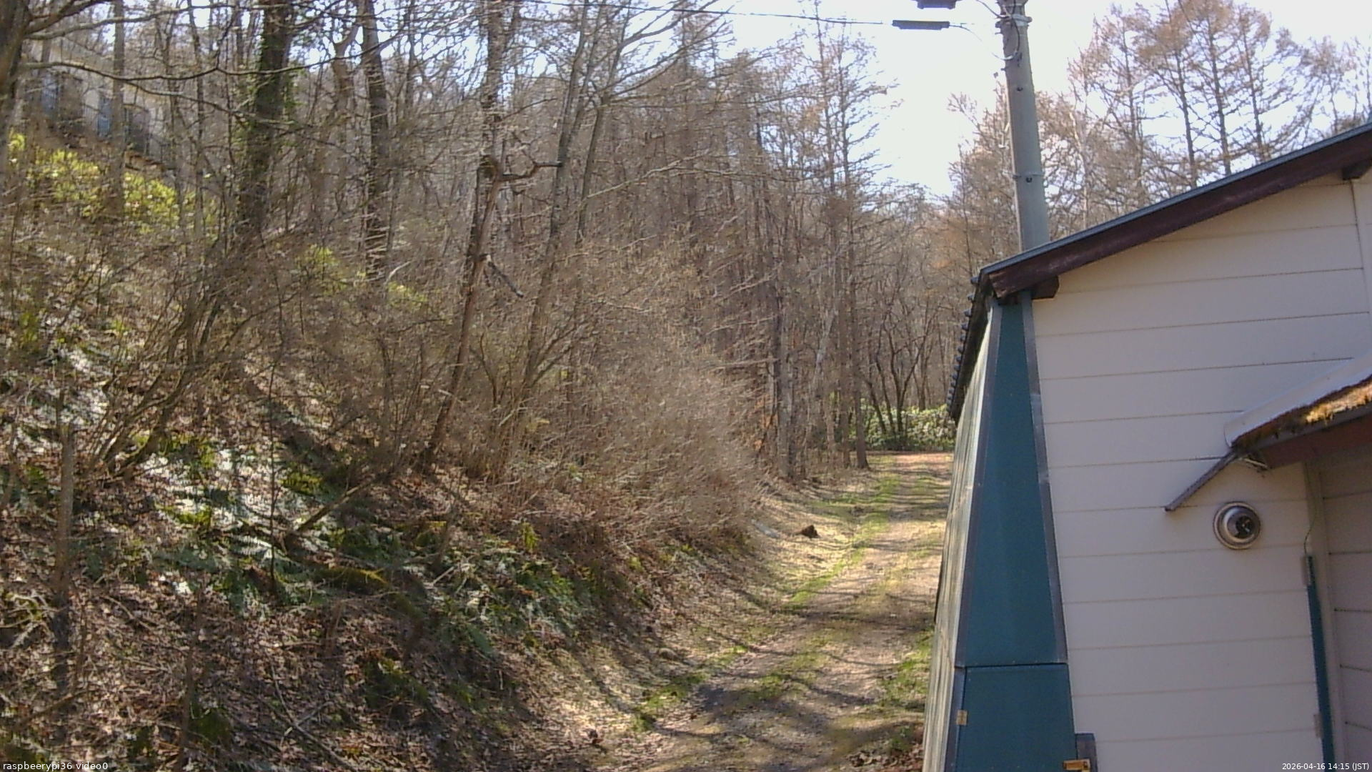 長野県菅平高原 ゆたか山荘 ゆたか山荘 2026/04/16 14:15