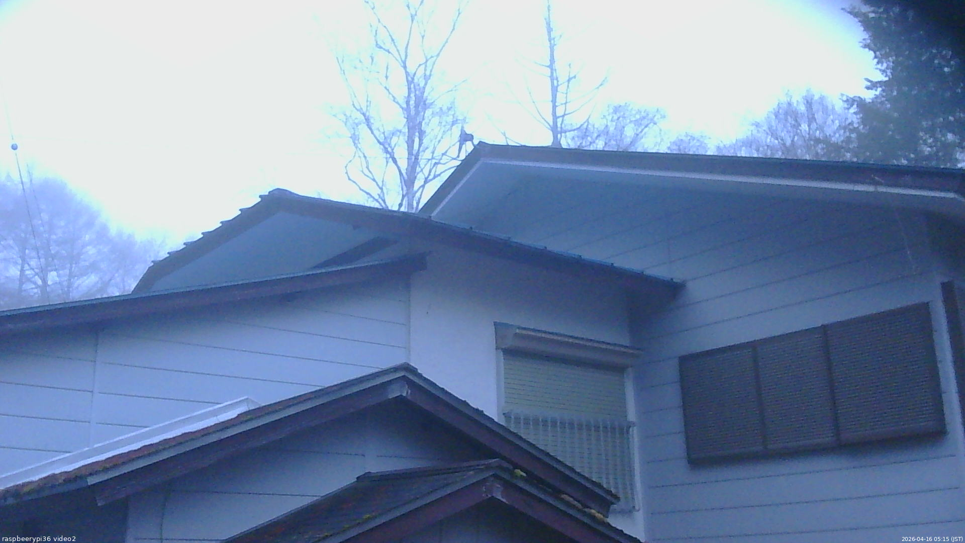 長野県菅平高原 ゆたか山荘 駐車場奥 2026/04/16 05:15