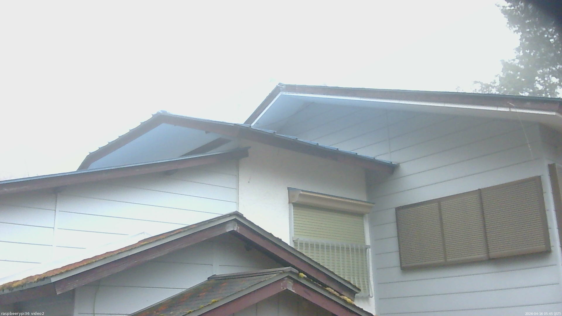 長野県菅平高原 ゆたか山荘 駐車場奥 2026/04/16 05:45