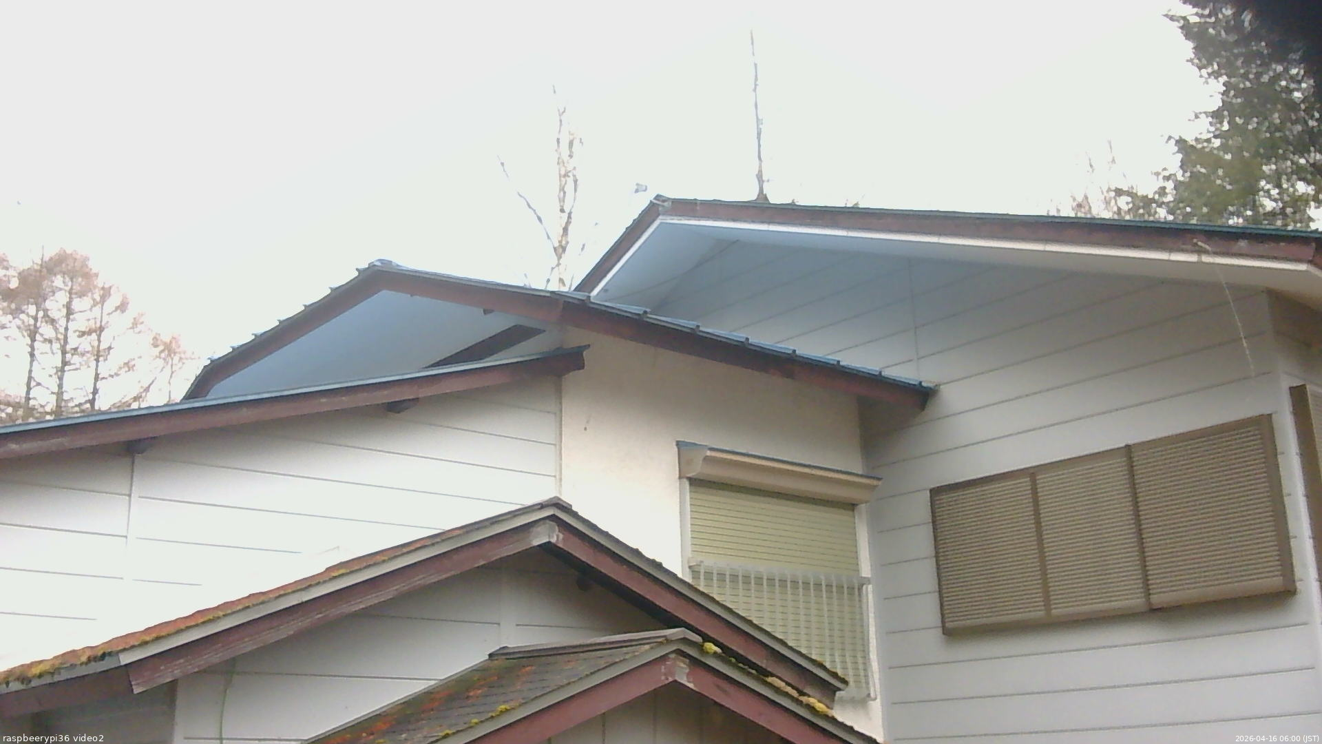 長野県菅平高原 ゆたか山荘 駐車場奥 2026/04/16 06:00