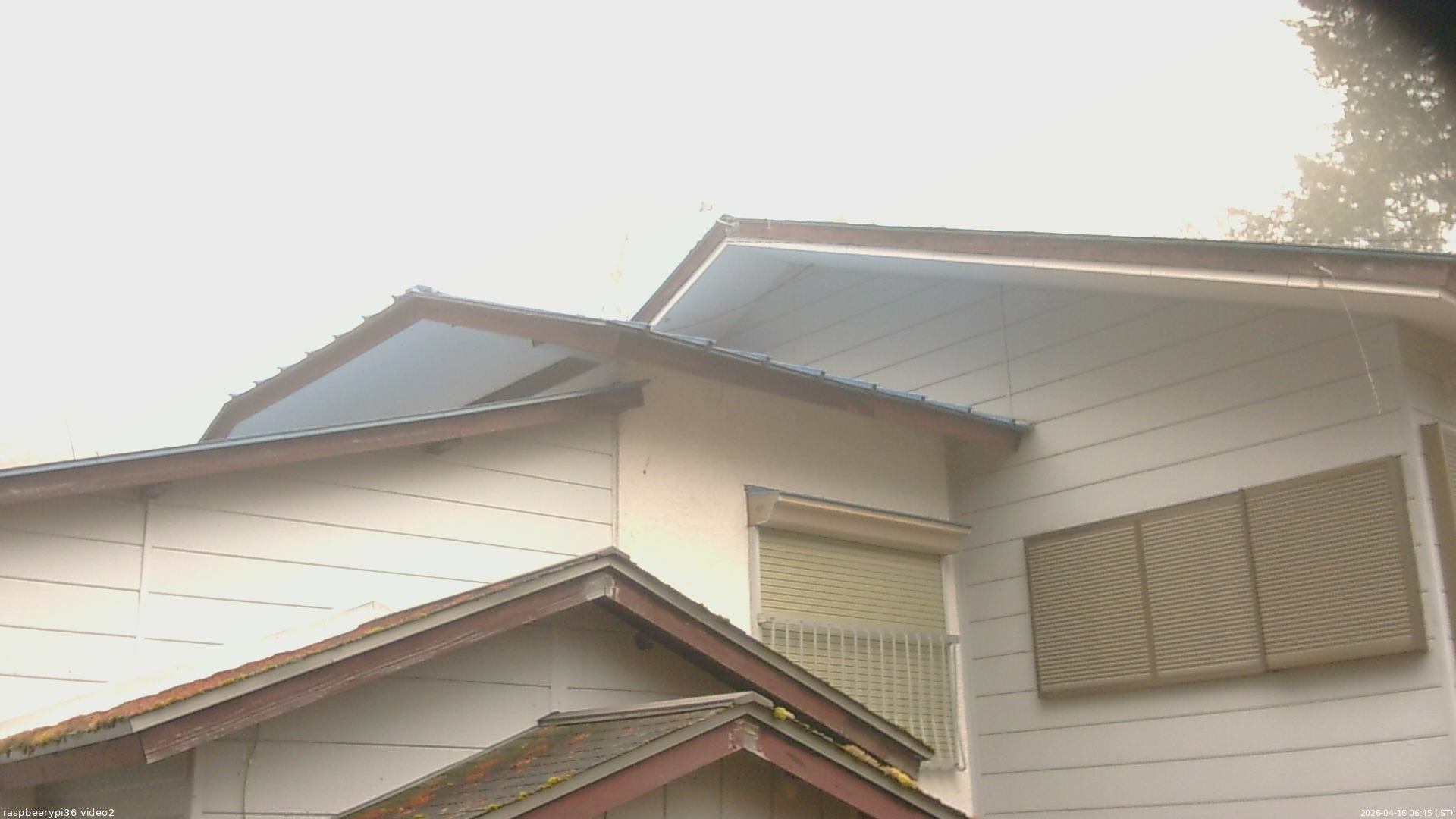 長野県菅平高原 ゆたか山荘 駐車場奥 2026/04/16 06:45