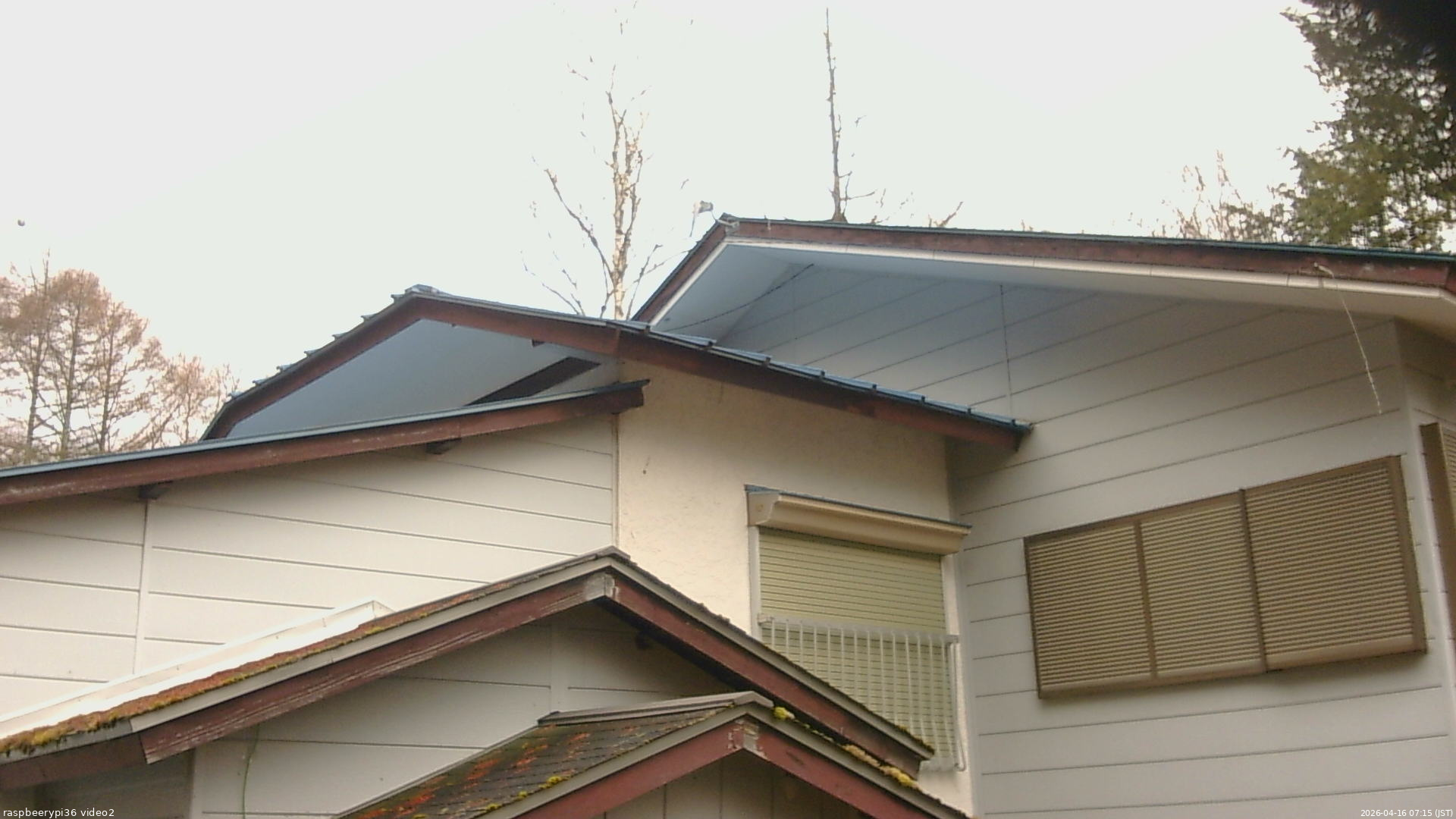 長野県菅平高原 ゆたか山荘 駐車場奥 2026/04/16 07:15