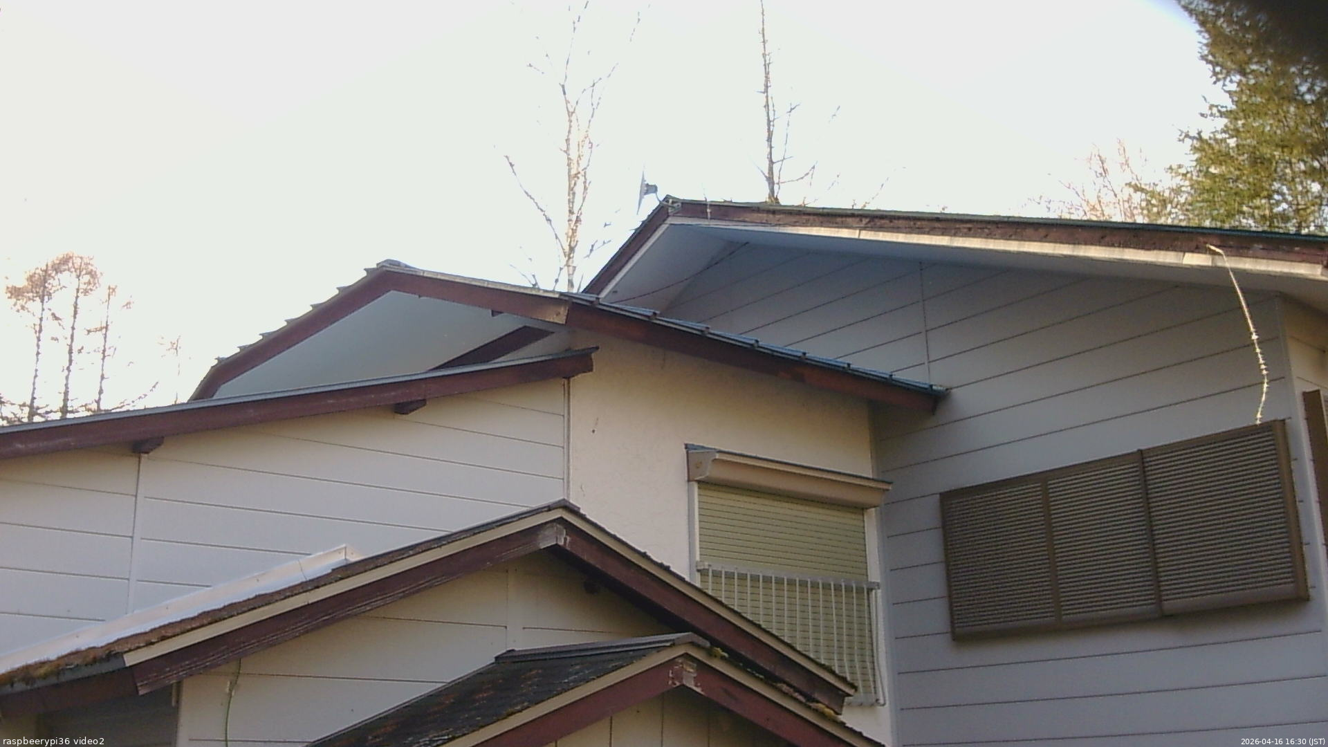 長野県菅平高原 ゆたか山荘 駐車場奥 2026/04/16 16:30