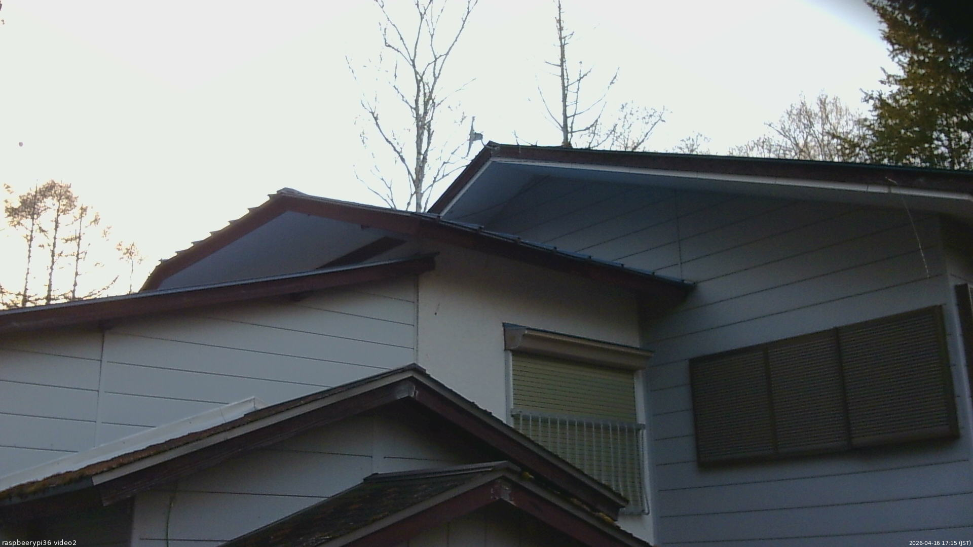 長野県菅平高原 ゆたか山荘 駐車場奥 2026/04/16 17:15