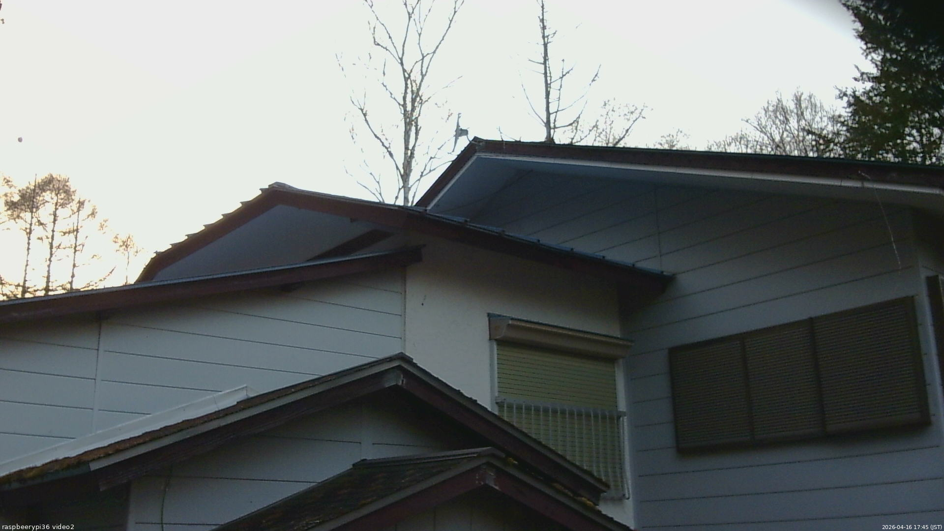 長野県菅平高原 ゆたか山荘 駐車場奥 2026/04/16 17:45