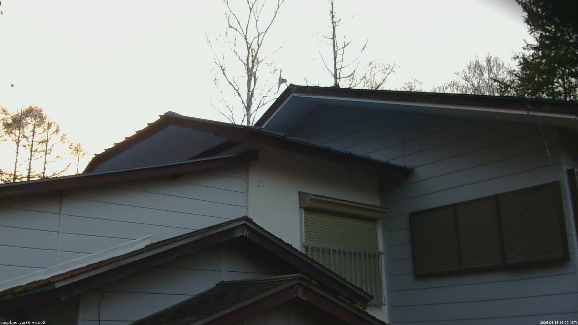 長野県菅平高原 ゆたか山荘 駐車場奥 2026/04/16 18:00