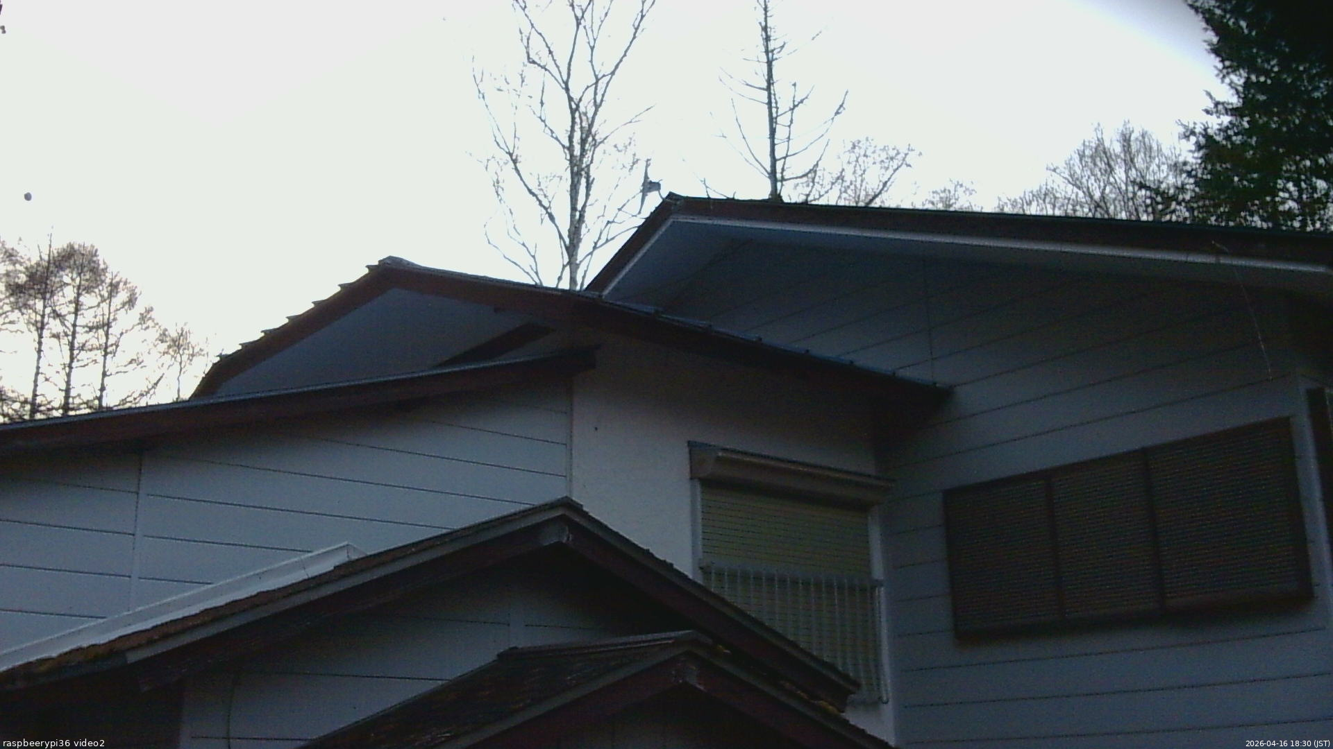 長野県菅平高原 ゆたか山荘 駐車場奥 2026/04/16 18:30