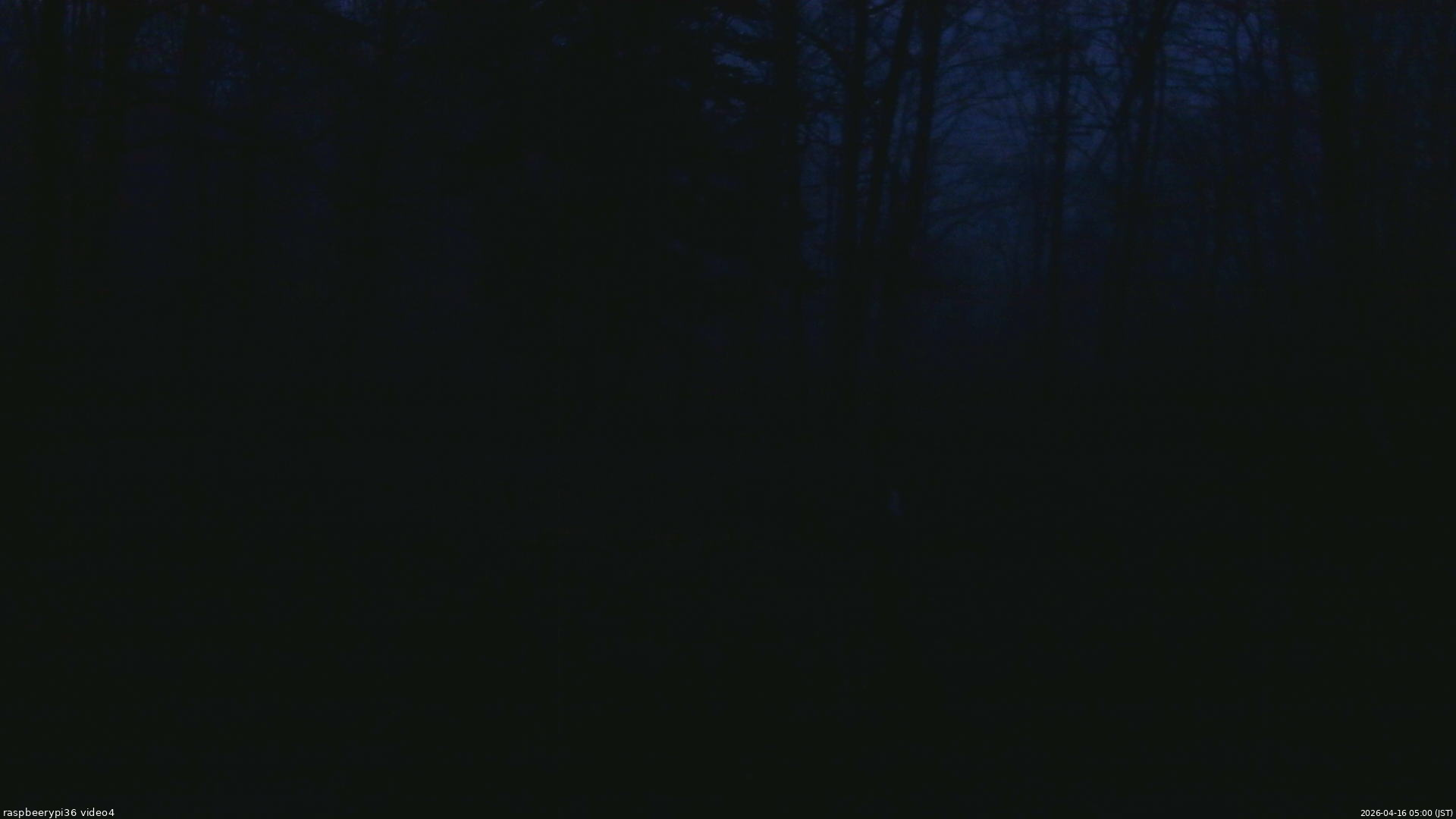 長野県菅平高原 ゆたか山荘 坂上 2026/04/16 05:00