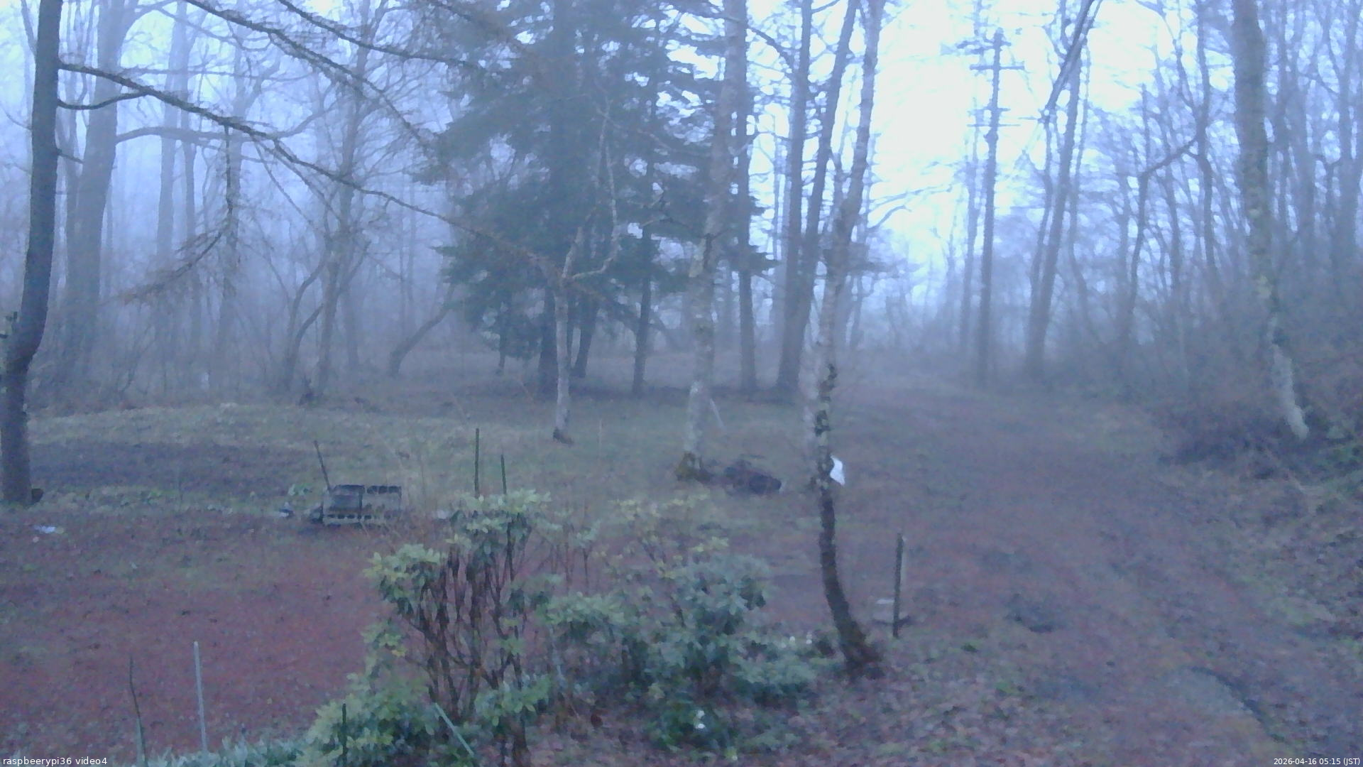 長野県菅平高原 ゆたか山荘 坂上 2026/04/16 05:15