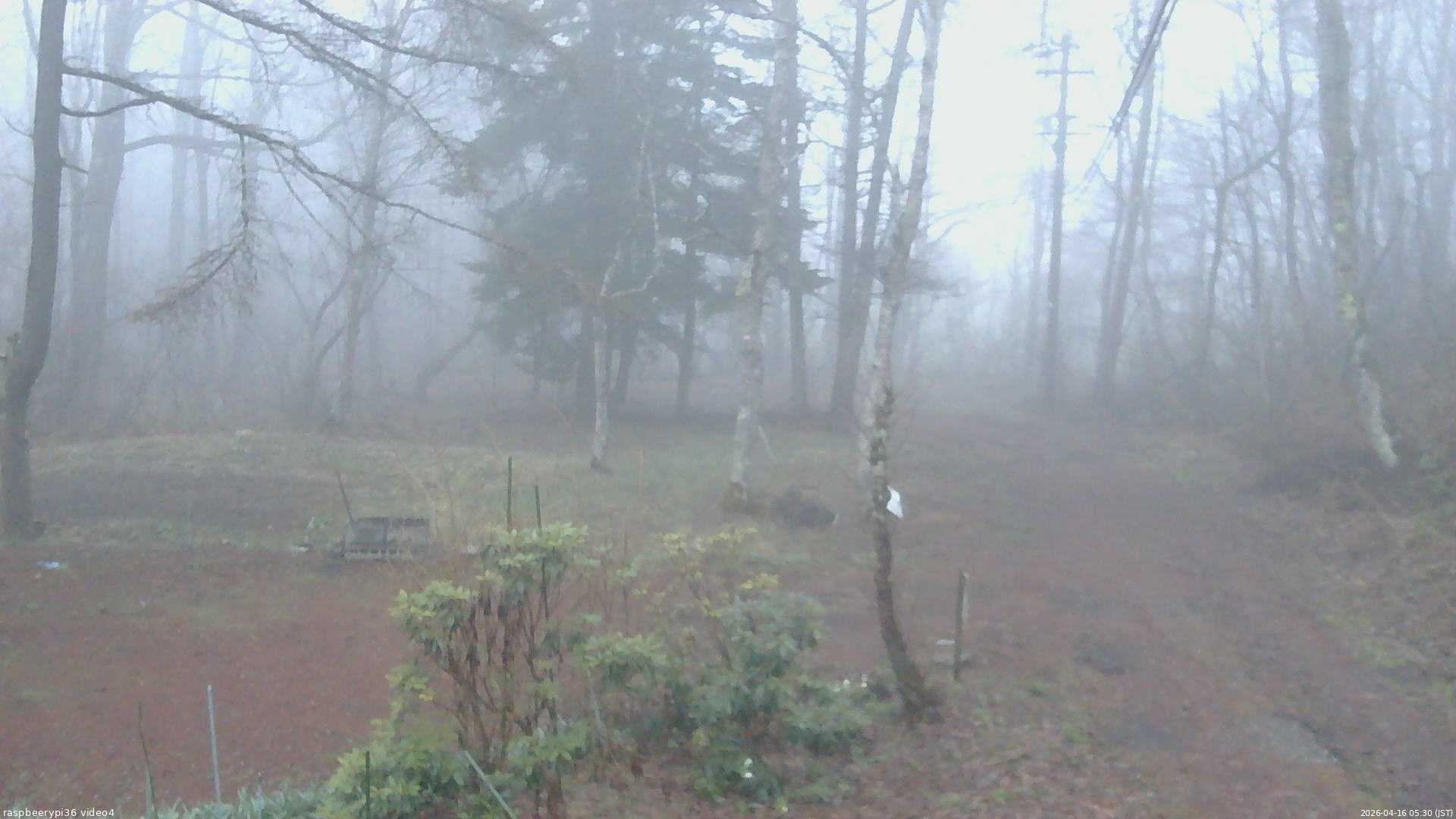 長野県菅平高原 ゆたか山荘 坂上 2026/04/16 05:30